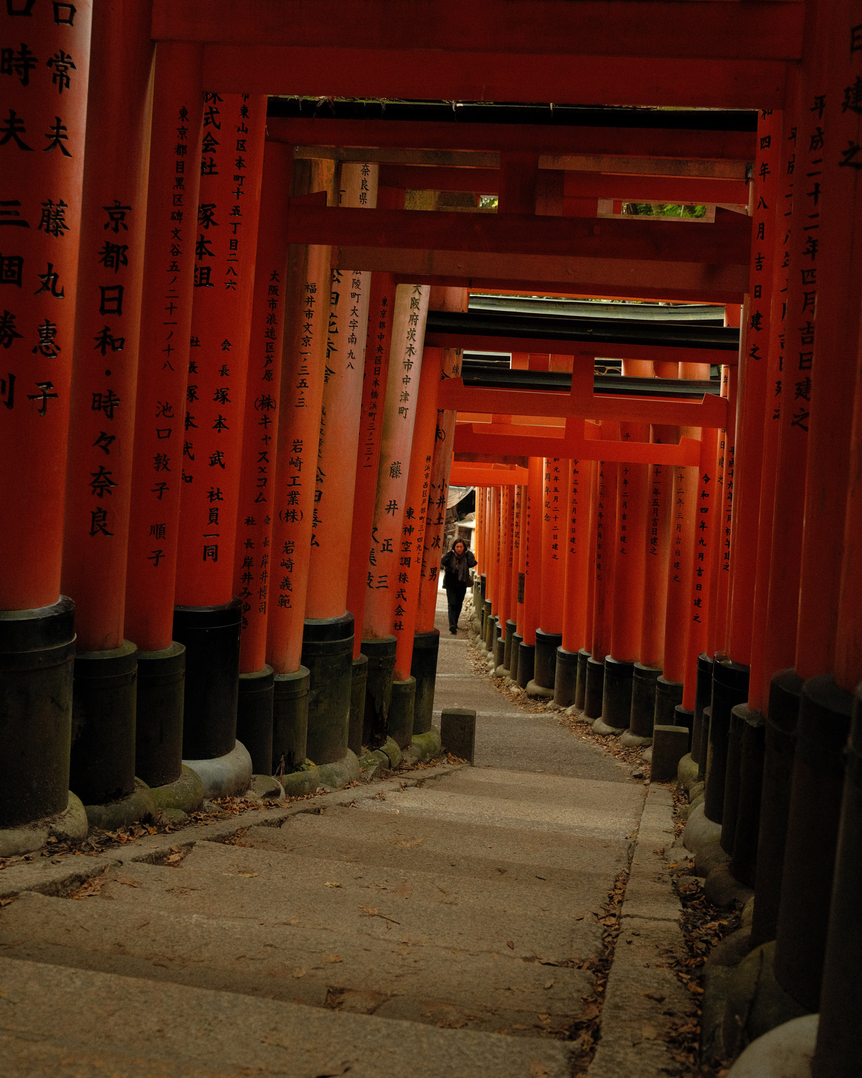 Kyotos Fushimi Inari-Taisha Schrein – ein Gehweg, der von einer Wand aus roten Säulen mit schwarzen Schriftzeichen bedeckt ist, mit einer Figur, die gerade am anderen Ende eintritt, aufgenommen von Michael Schulz mit der Fujifilm X100V