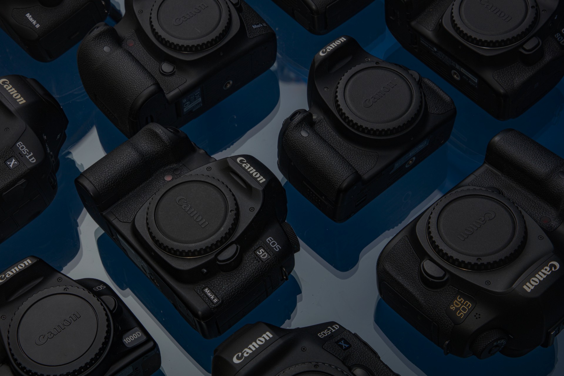 A group of Canon camera bodies arranged in a flatlay