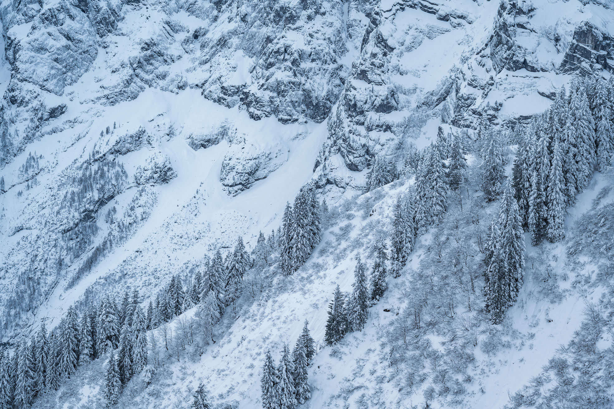 Snow-covered mountain with fir trees and rocks, shot by Kilian Schönberger