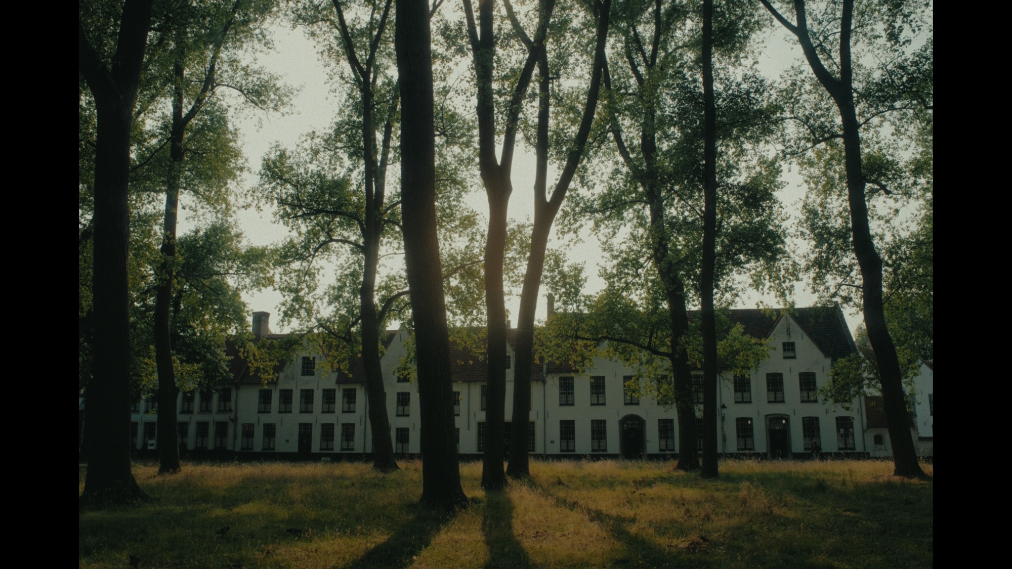 Tall dark tree trunks frame a long white building with a red roof across a grassy field.