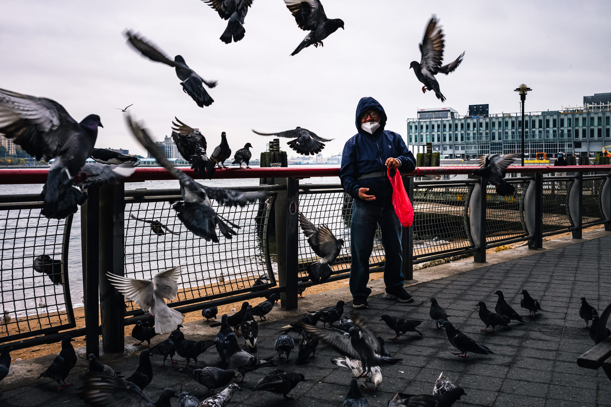 Person in front of the Hudson River throwing food to pigeons in New York City on a gray rainy day