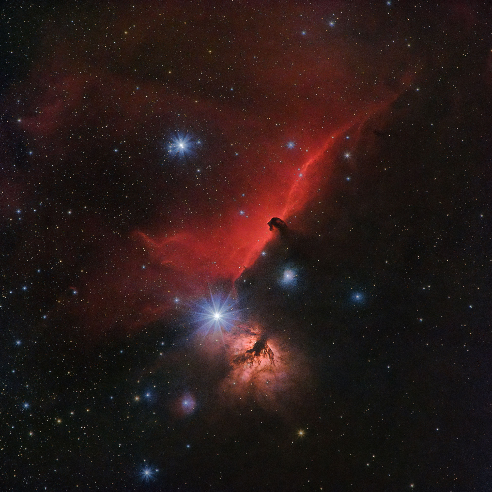 Die Pferdekopf- und Flammennebel im Sternbild Orion