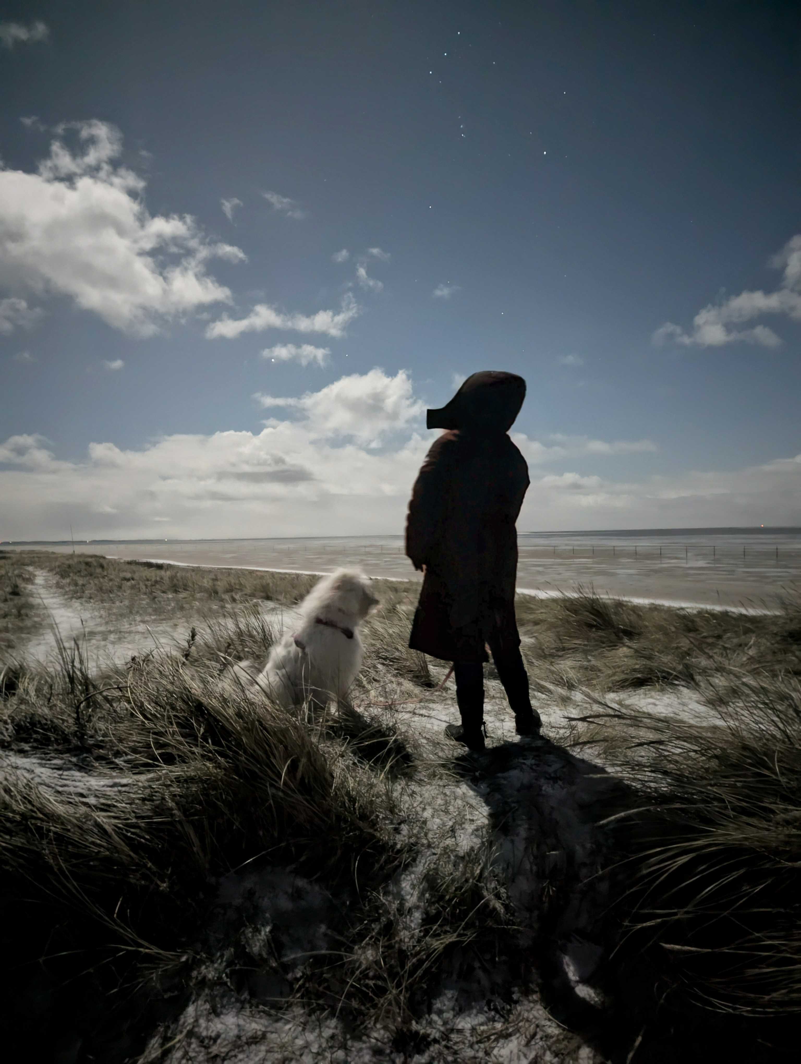 Person mit dem Rücken zur Kamera, mit einem Hund neben sich, stehend in den Dünen, mit Blick auf das Meer, fotografiert von Stefan Boxhorn.