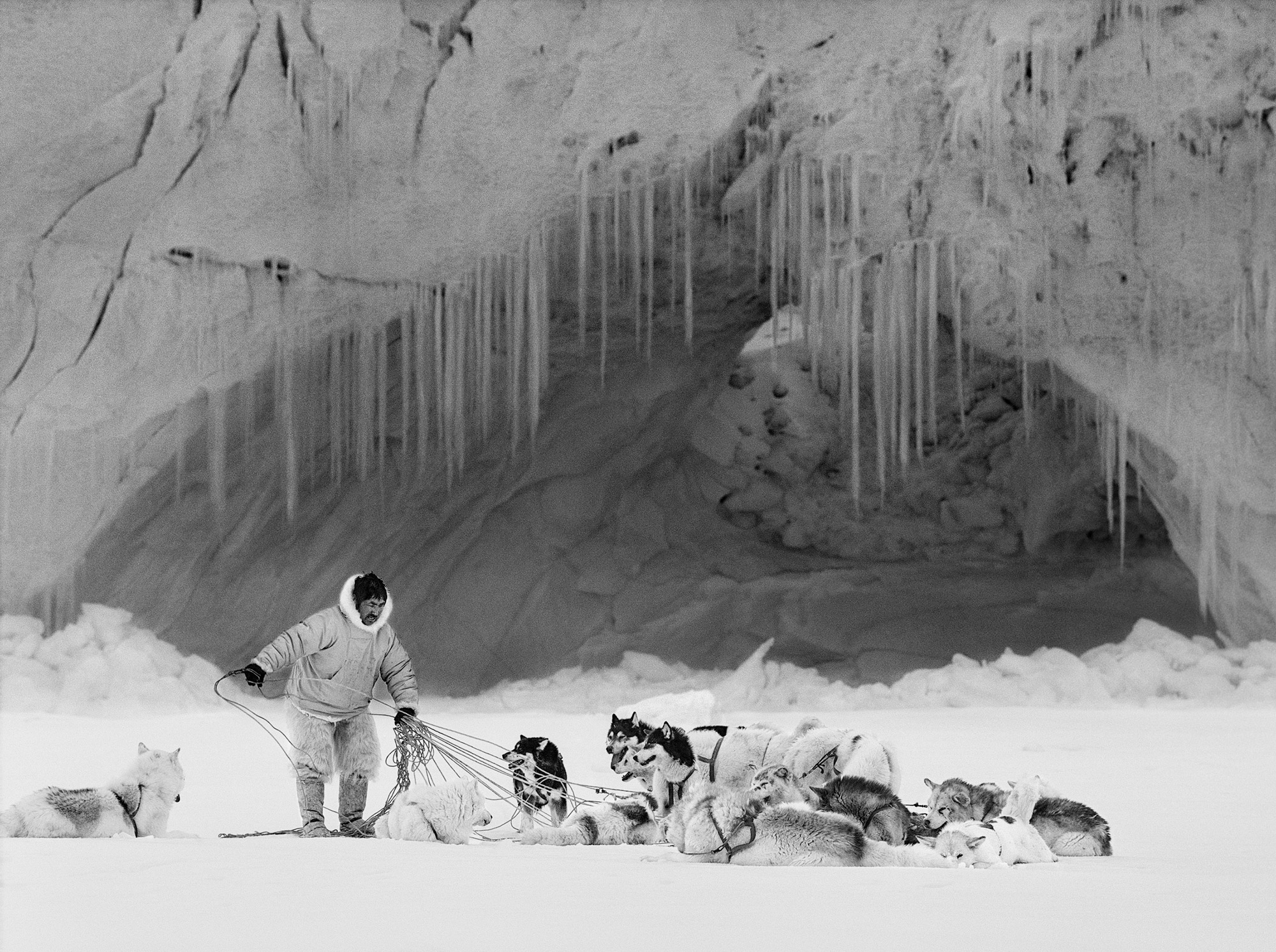Black and white photograph of a man with many sled dogs lying in the snow, on leashes, in the background an ice cave with icicles, photo taken by Ragnar Axelsson