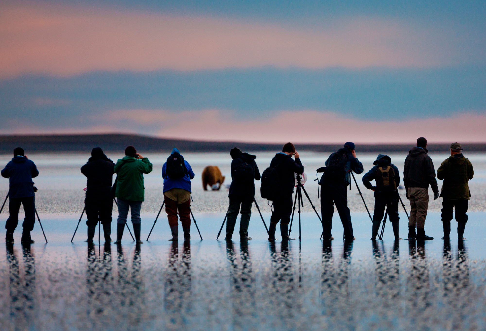 A group of photographers stand with their backs to the camera at Lake Clark National Park and Preserve in Alaska. They're taking photos of a brown bear in the background, with a light blue sky and clouds above.