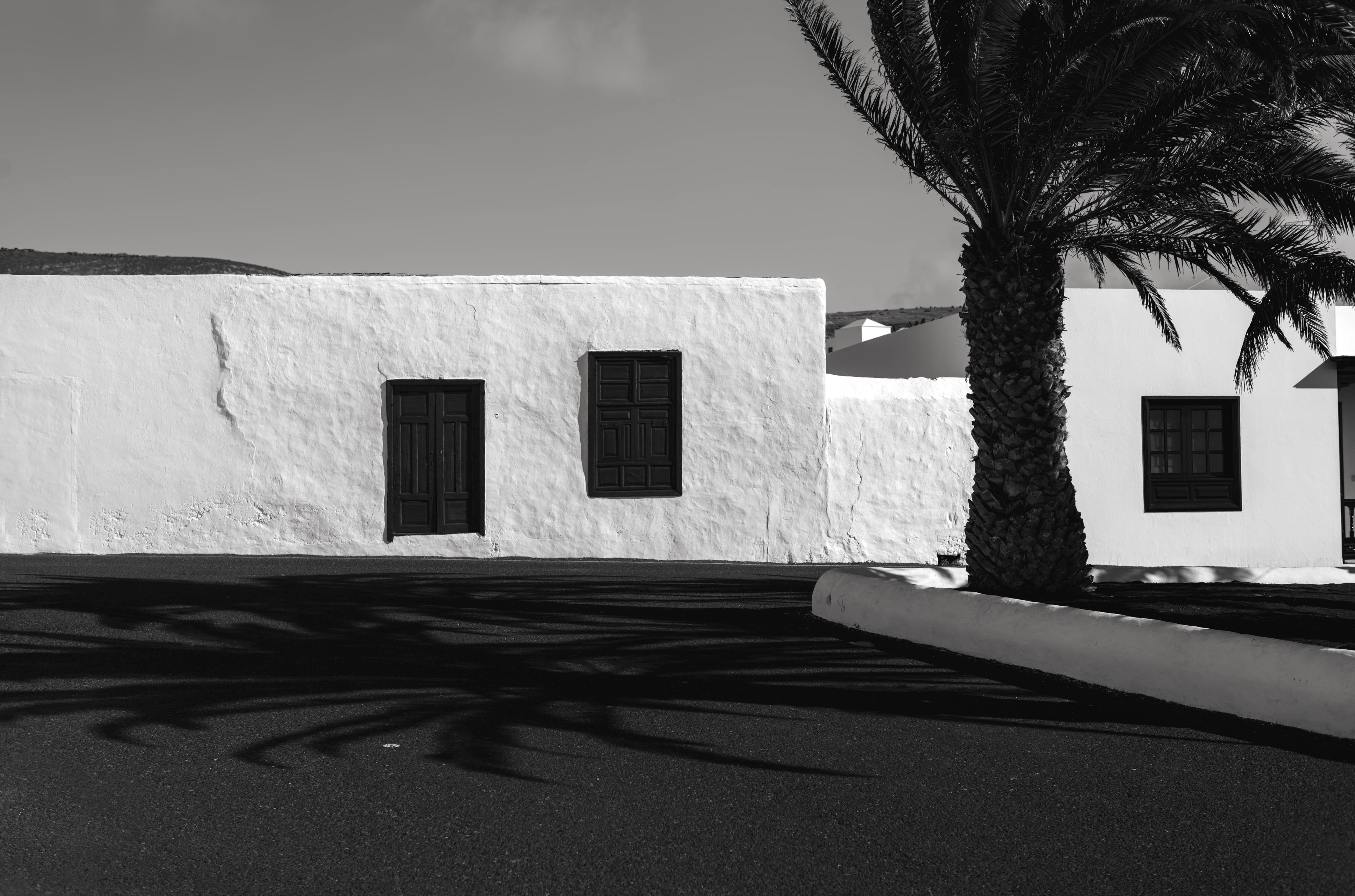 A black-and-white photo of a white house with black shutters next to a palm tree with tarmac driveway, shot with a Leica M10 Monochrom