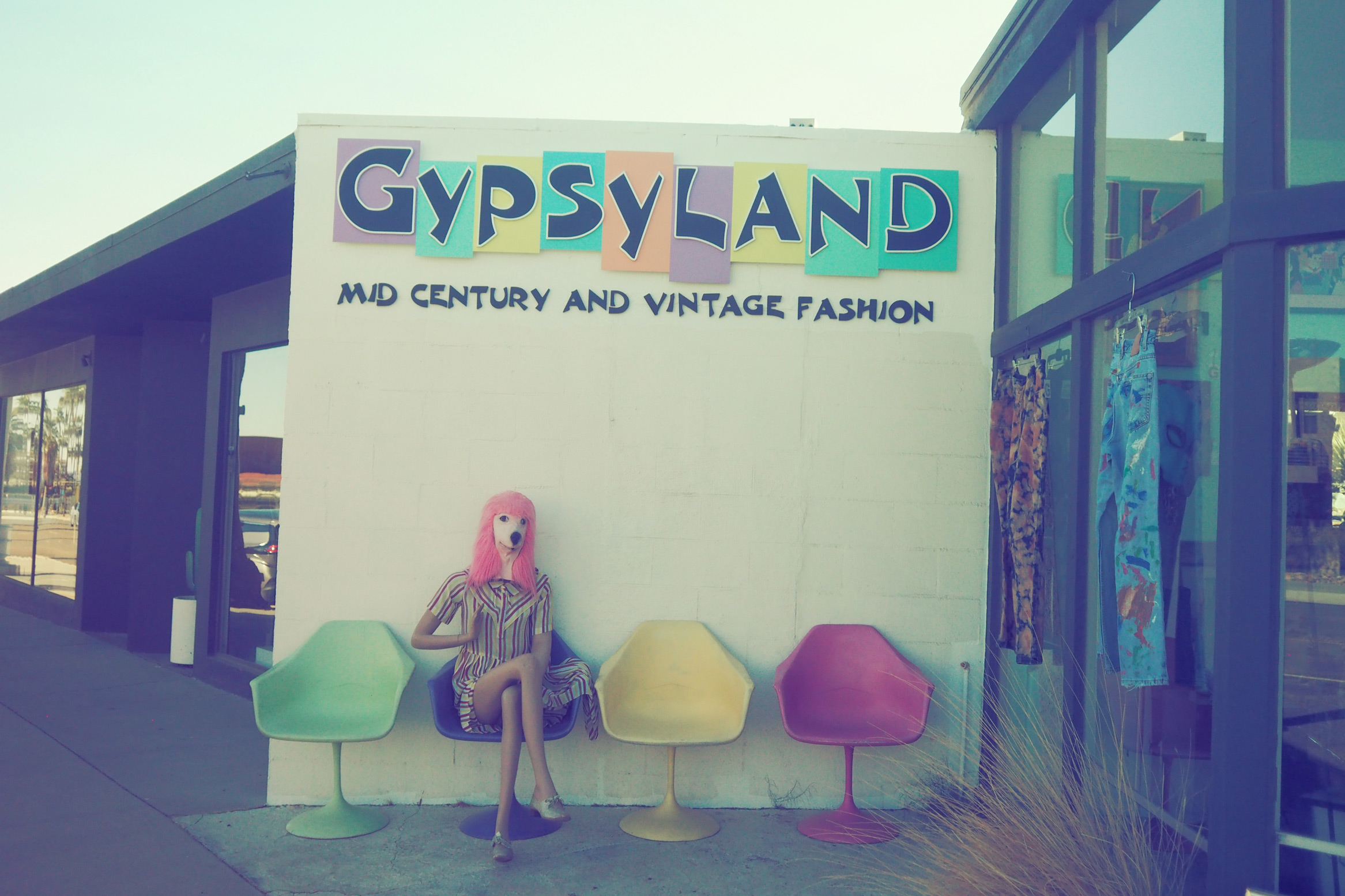 Mannequin with a dog head and pink wig in front of a thrift store in Palm Springs, California, taken on an Olympus Pen-F by Justin Patricolo.