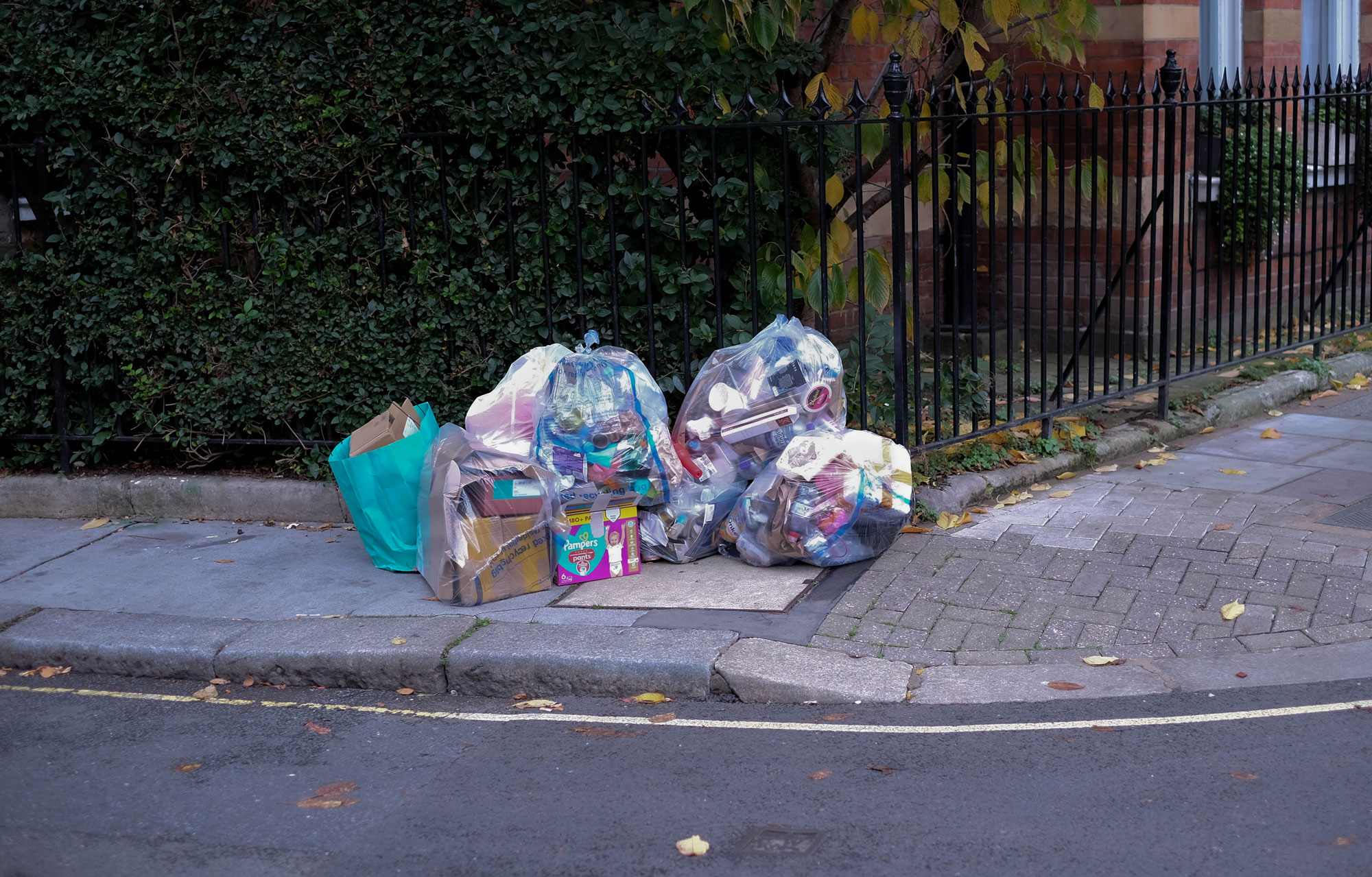 Des sacs-poubelle transparents remplis de déchets sont posés sur un trottoir londonien propre, avec des feuilles d'automne éparpillées autour, photo par Laura Milner