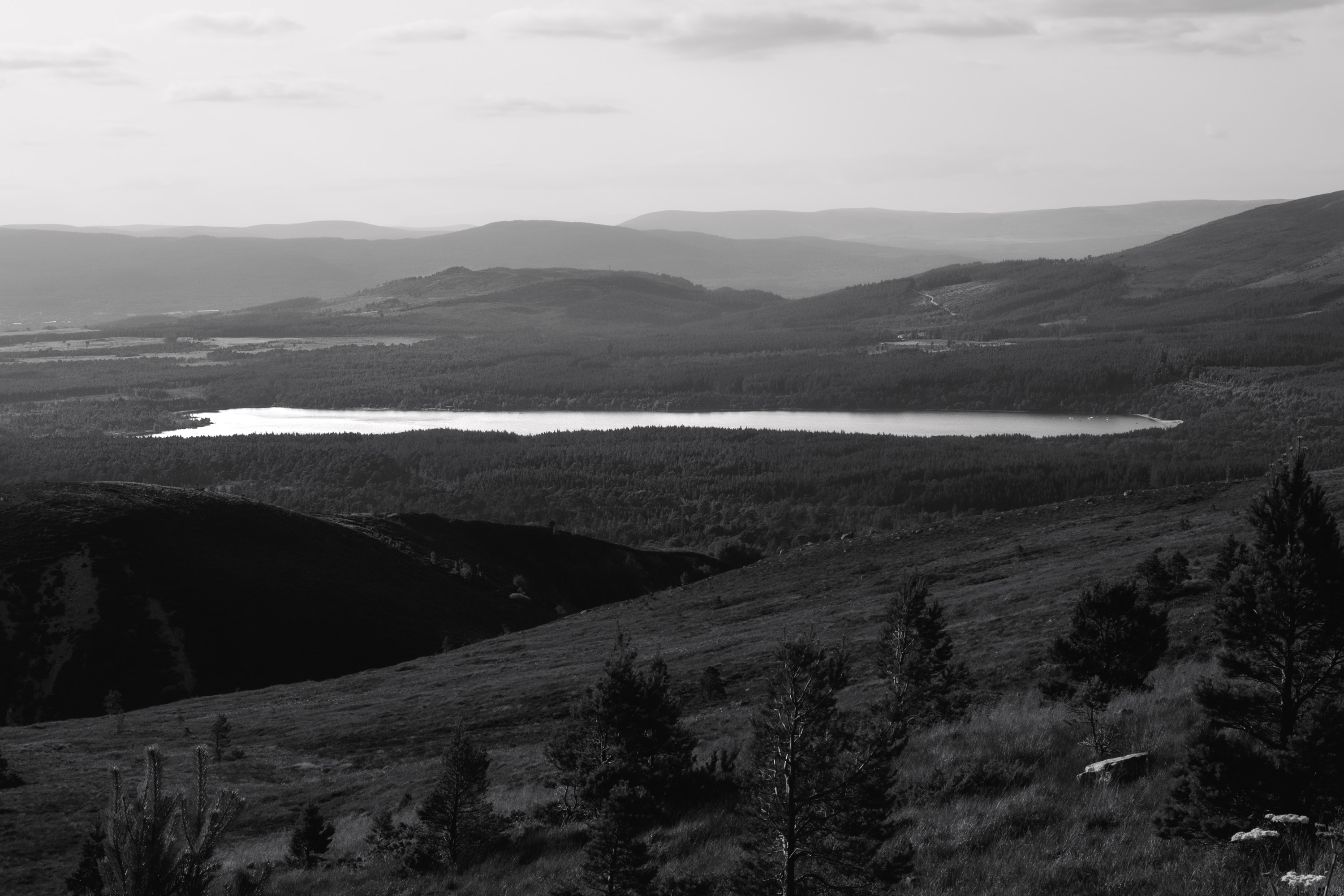 A wide expanse of the Scottish lowlands in black and white. Taken on the Fujifilm X-T4 by Ian Howorth.