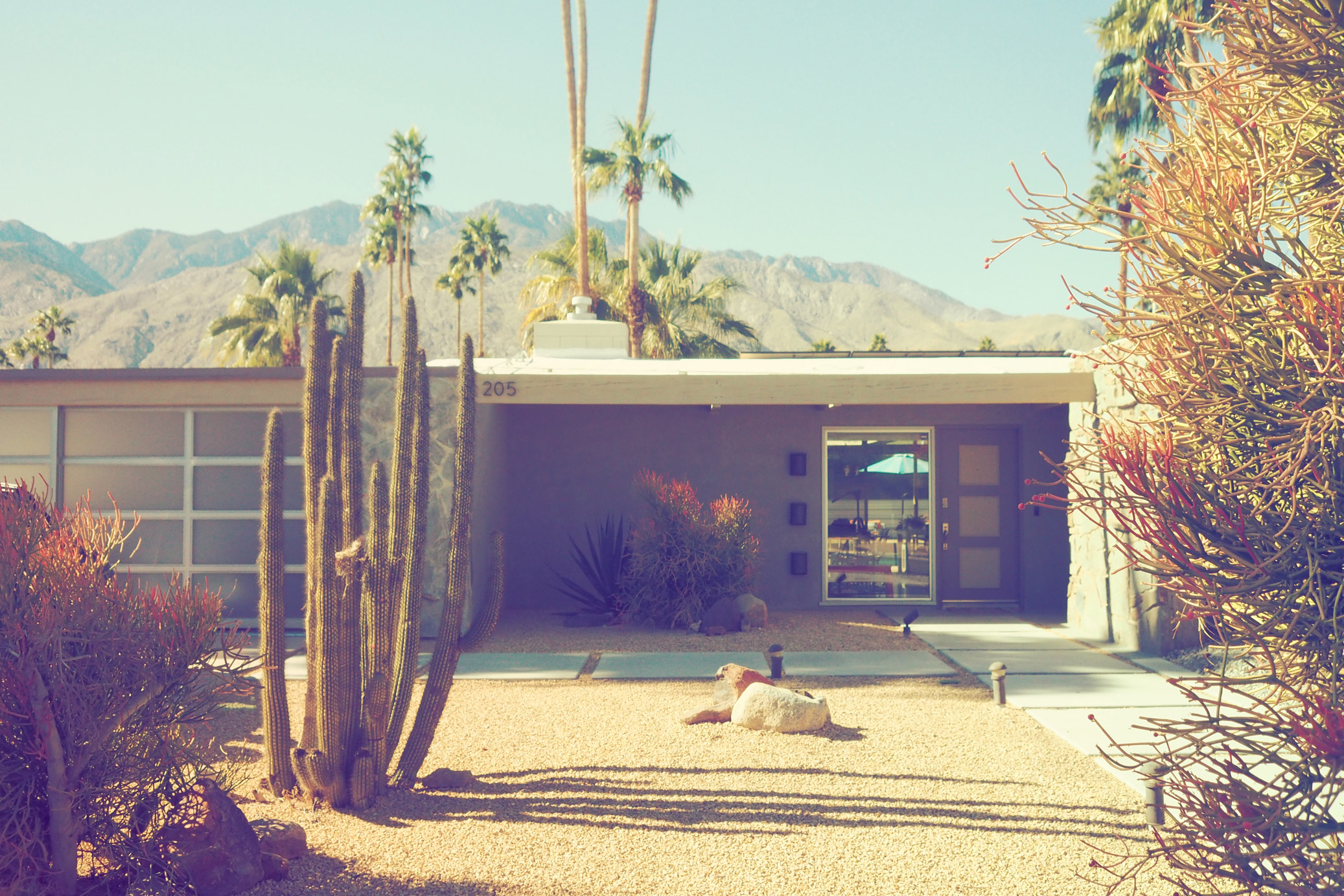 Front of house with cacti and palm trees with mountain in the distance in Palm Springs, California, taken on an Olympus Pen-F by Justin Patricolo.