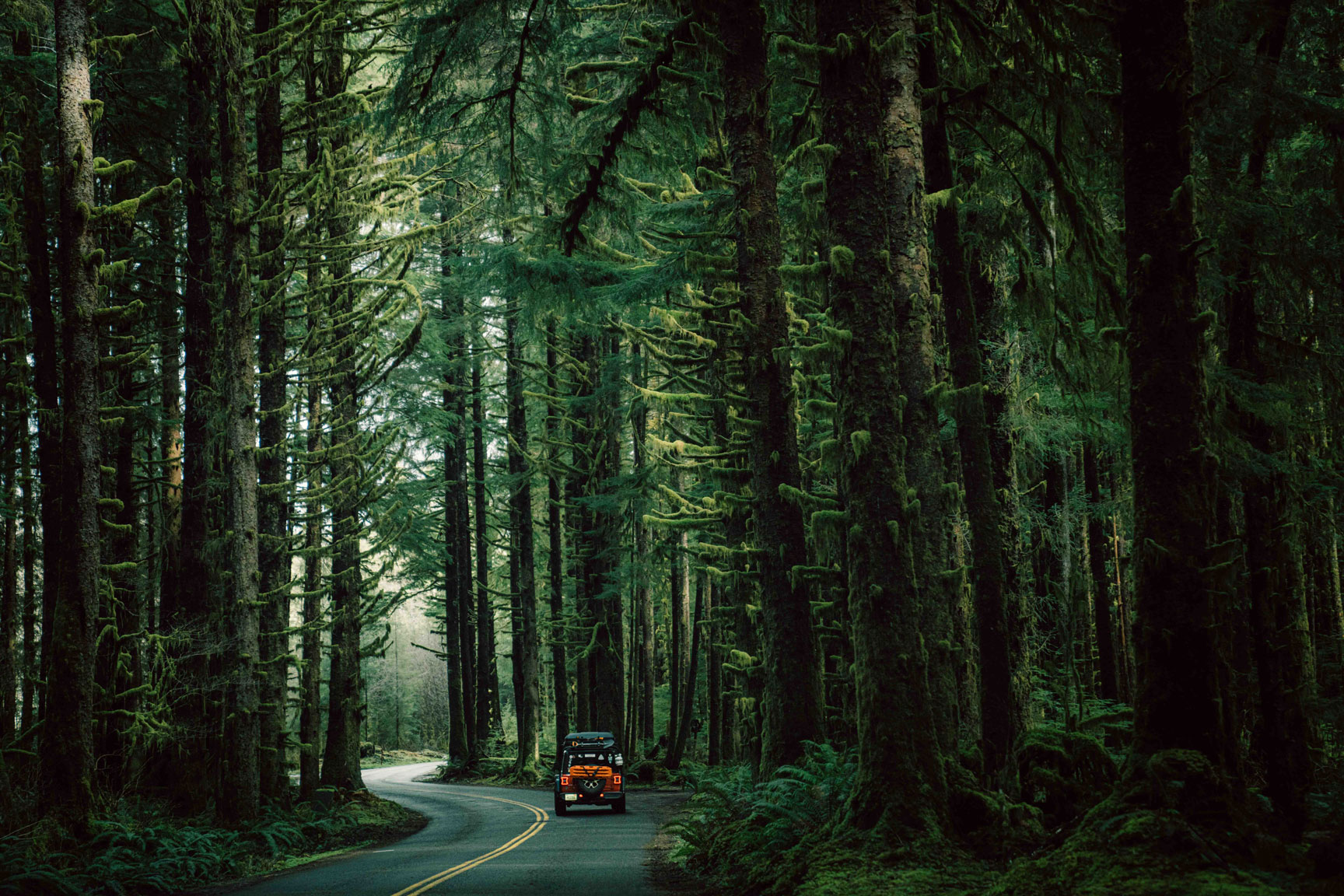 Orange vehicle in the woods in Olympic National Park in Washington State