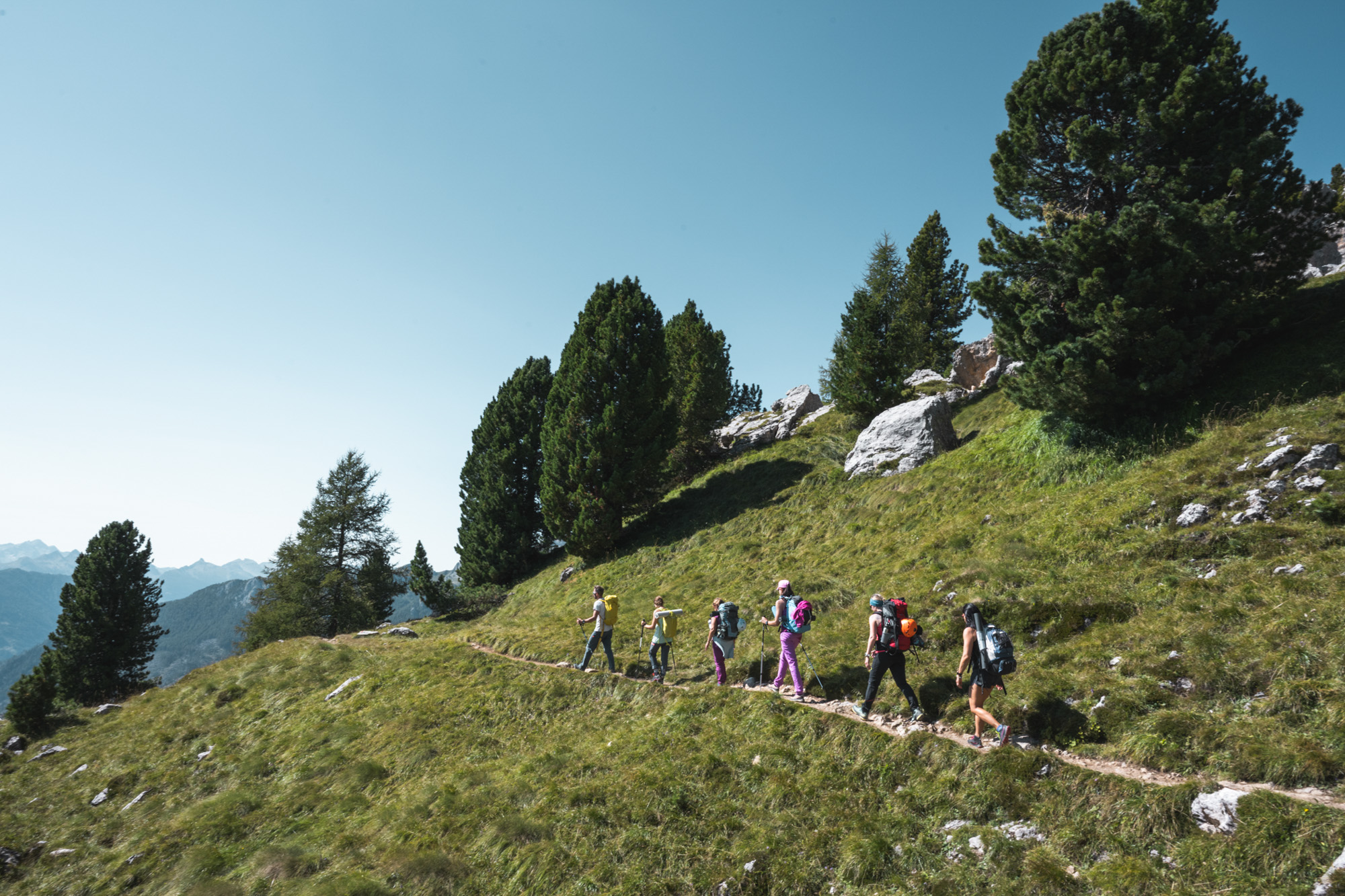 Eine Gruppe wandernder Personen mit bunten Rucksäcken, die unter blauem Himmel auf einem Bergpfad zwischen grünen Wiesen und Pinienbäumen unterwegs ist.