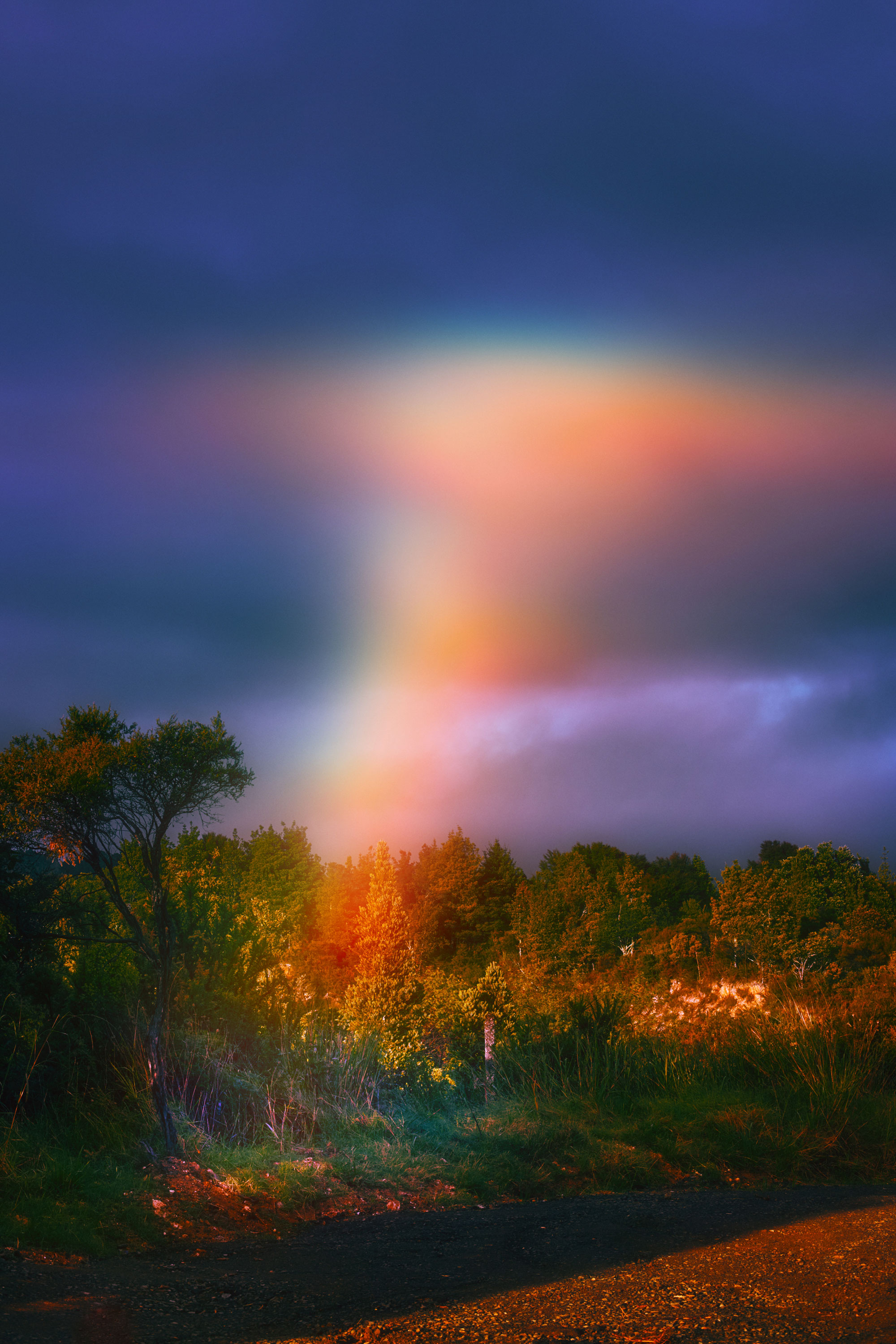 Forest landscape with rainbow in bright colors stretching in the sky and hitting the trees from there, shot and edited by Steph O'Connor