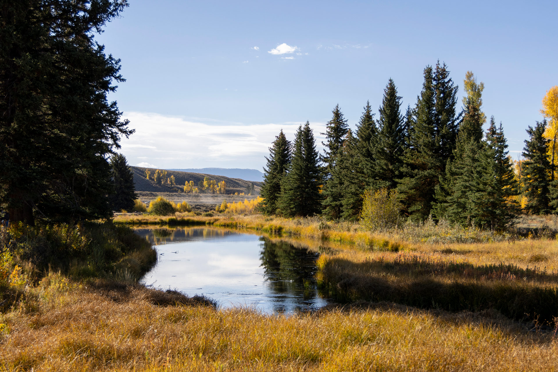 Landschaftsfoto beim Schwabacher Landing im Grand Teton National Park, Wyoming, mit Spiegelungen in einem Fluss. Aufgenommen von Kristi Townsend mit einer Canon EOS R7.