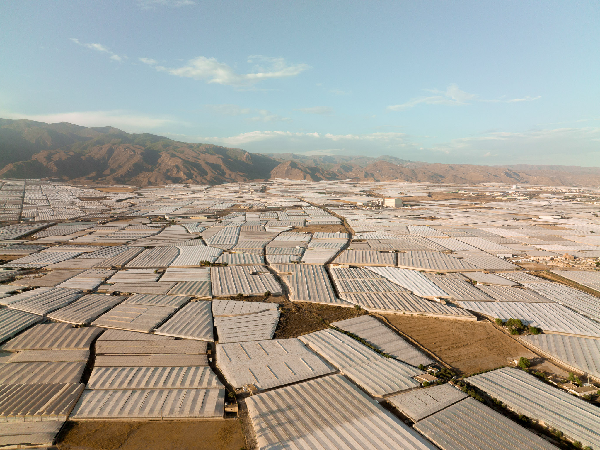 Drone aerial photo of extensive greenhouse agriculture covering farmland, with hills and mountains on the horizon.