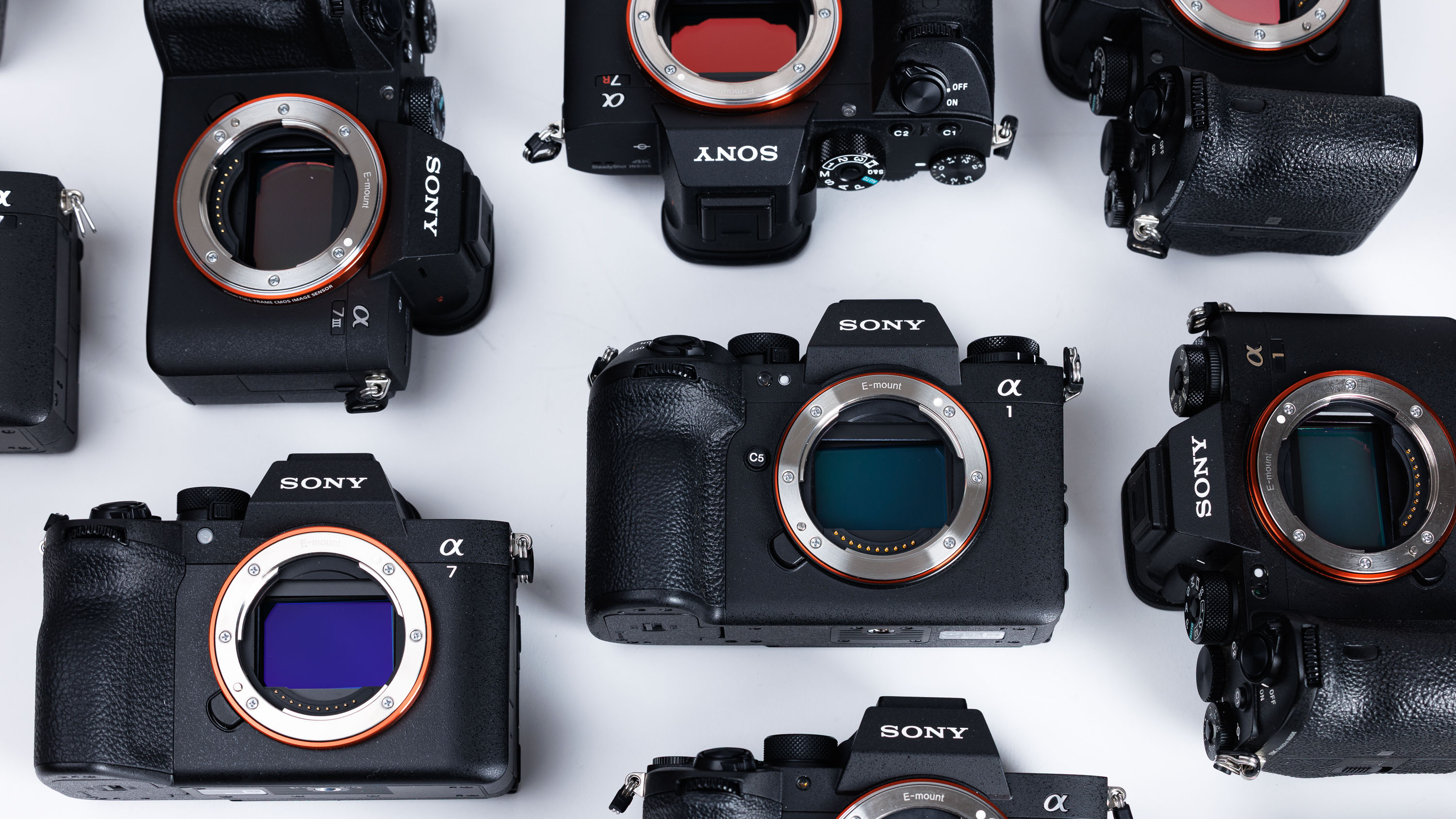 A flatlay of Sony full-frame mirrorless camera bodies on a white background.