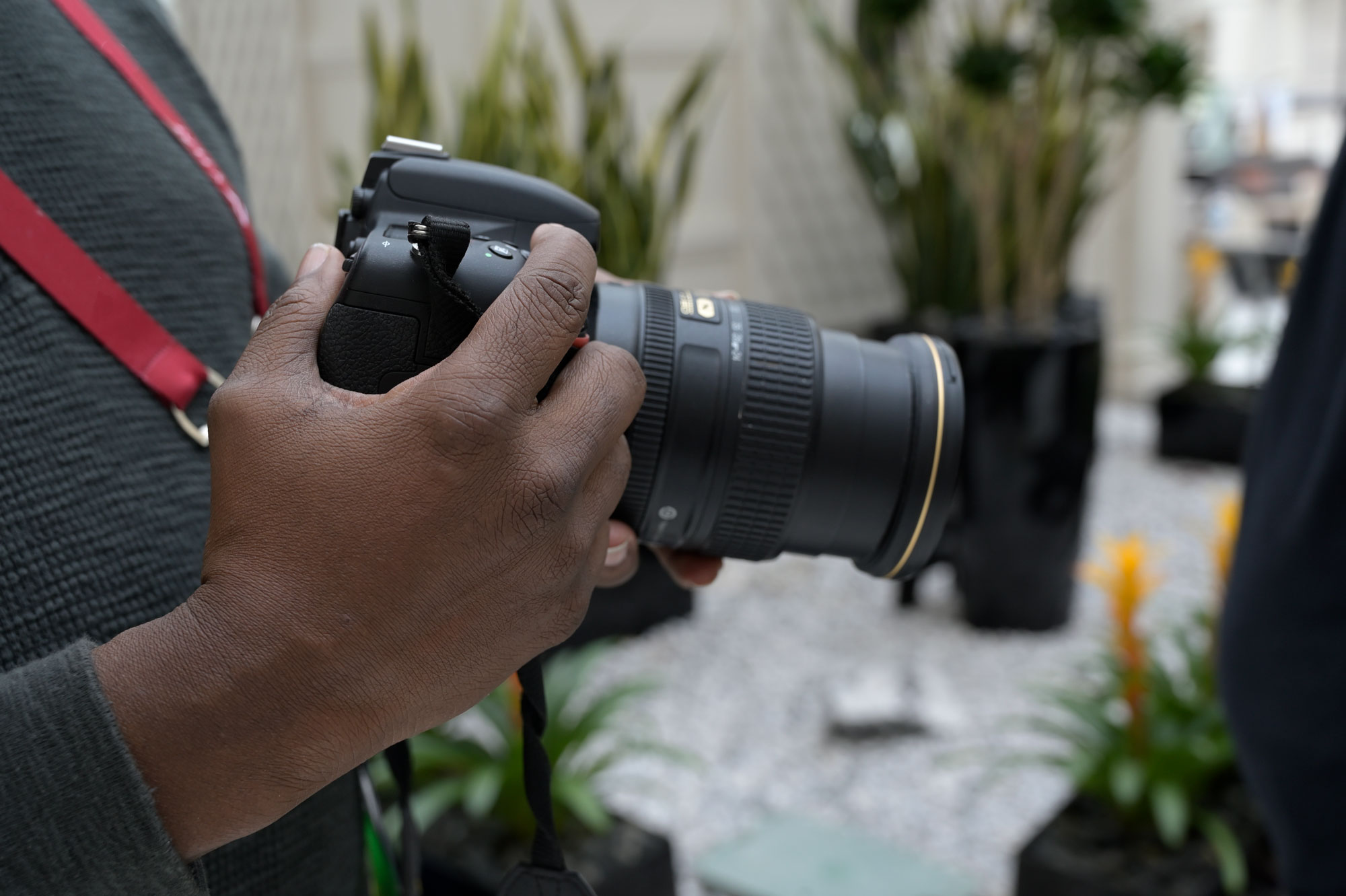 A close-up of a hand of a photographer holding a digital camera, with potted plants in the background.