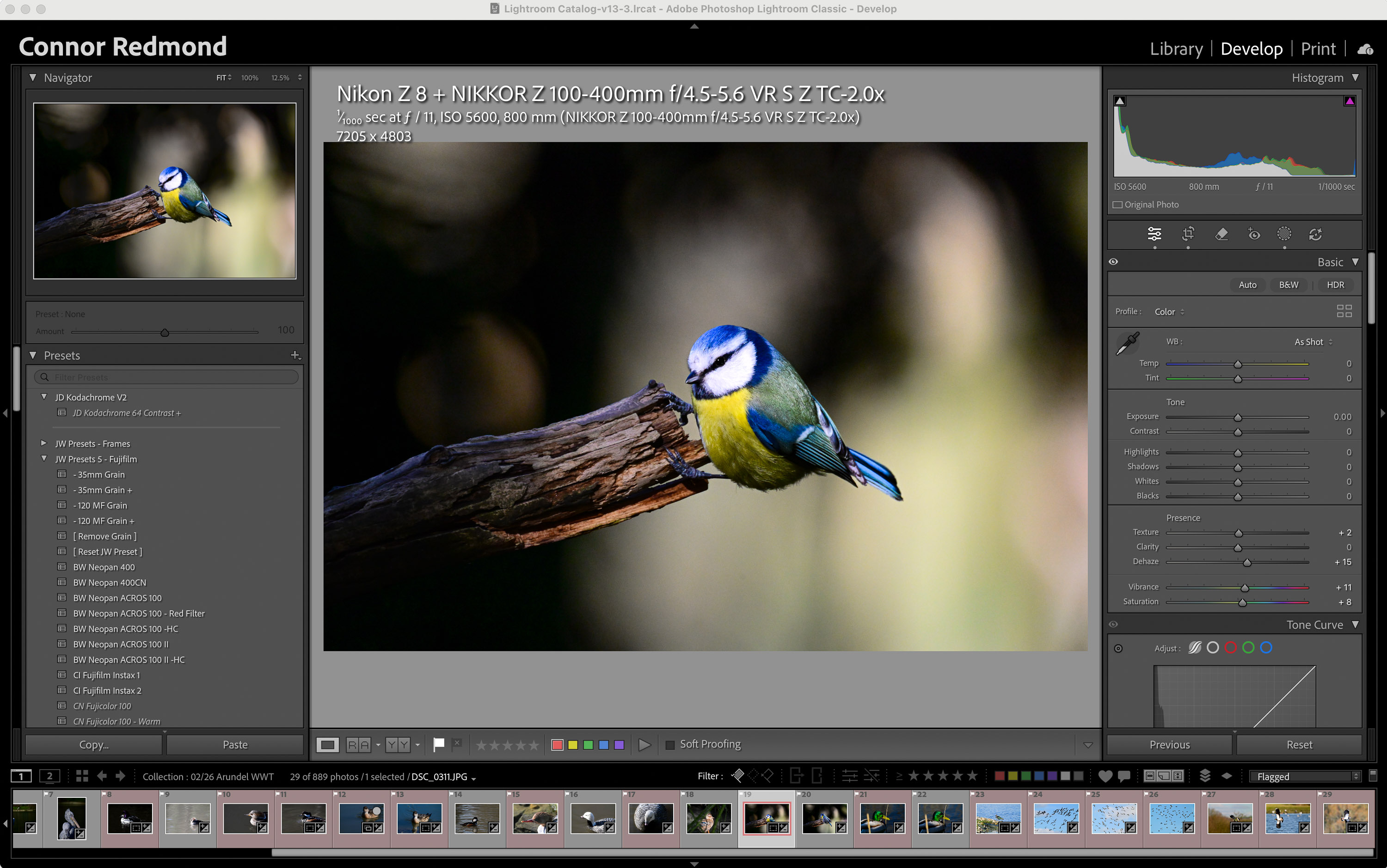 Capture d'écran montrant l'effet de l'outil Masque de Lightroom Classic sur une photo d'oiseau bleu réalisée par Connor Redmond