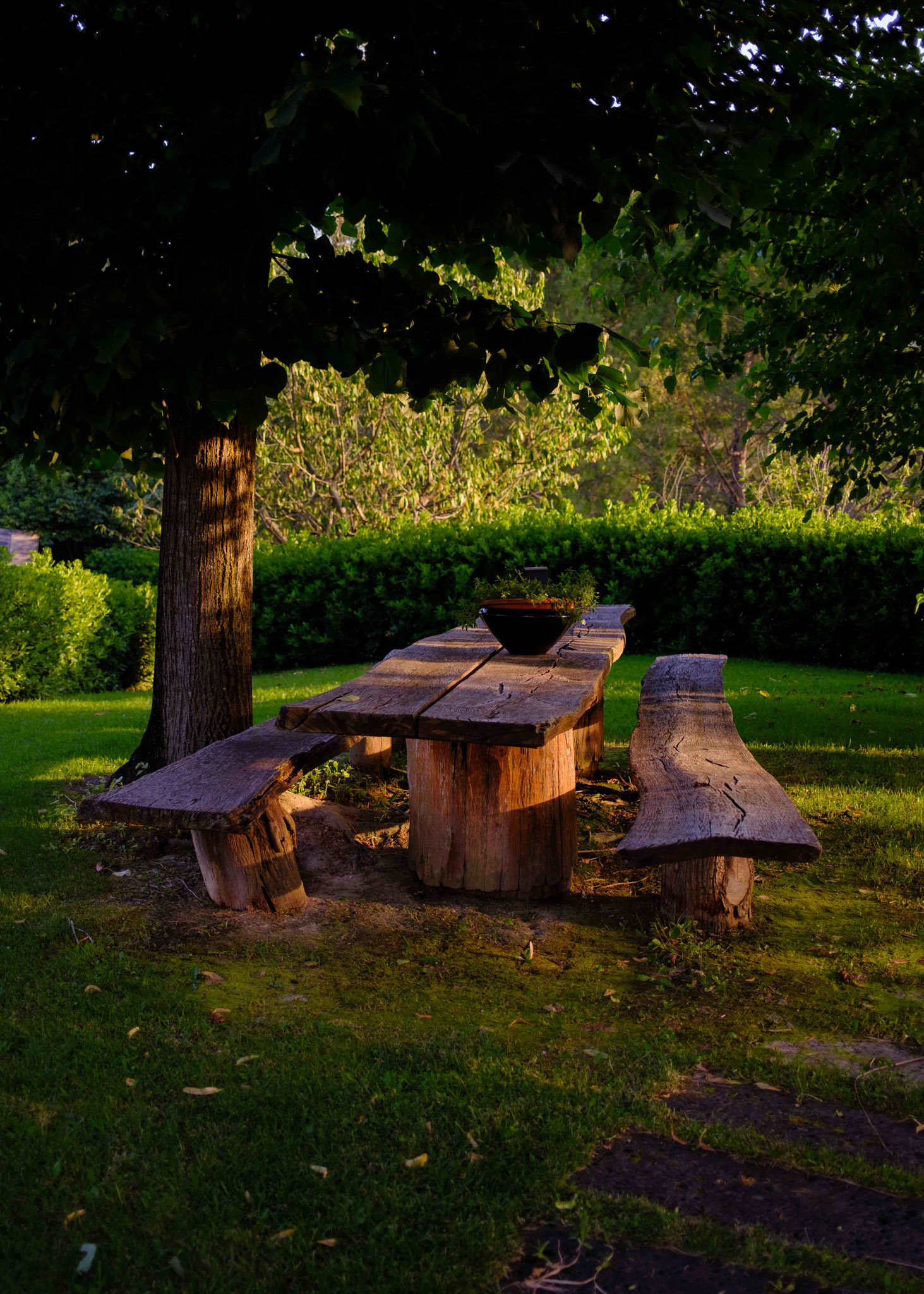 Beautiful wooden table and benches made out of tree trunks in sunset light

