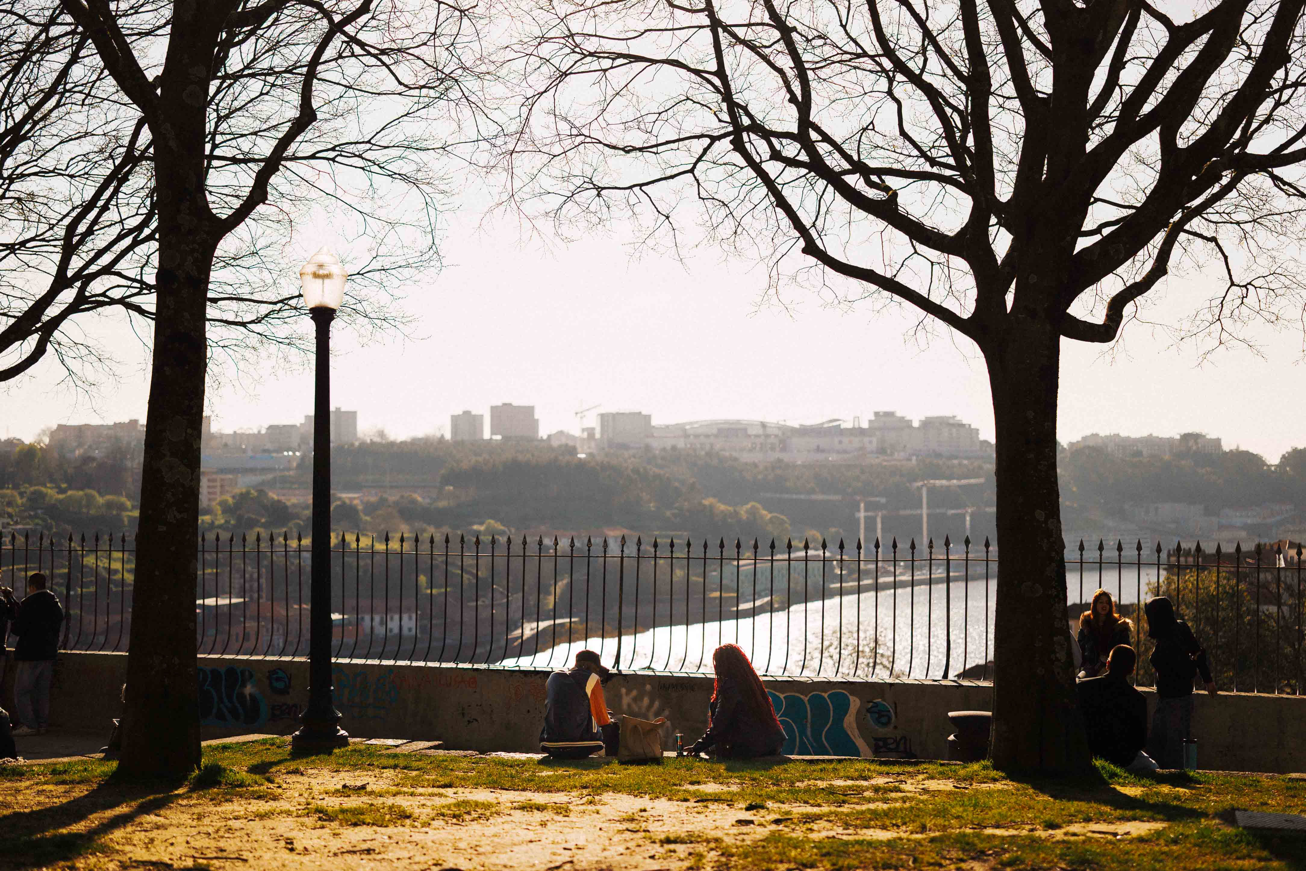 People sitting and socialising on the grass at Passeio das Virtudes Gardens, framed by trees and overlooking the Douro River and the opposite hillside in soft afternoon light.

