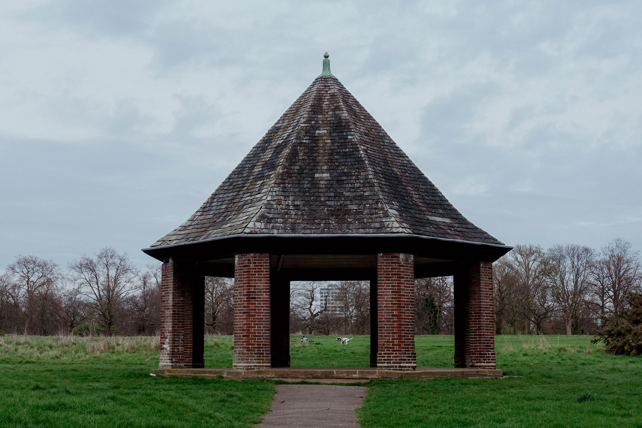 Dalmation running through Hyde Park in London, England. Taken on a Sony RX100 IV by Kristi Townsend.