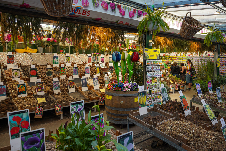 Een kleurrijke bloembollenstall op de Amsterdamse Bloemenmarkt, vol levendige displays, plantensoorten en typische marktsfeer, gefotografeerd door Louise Kluit