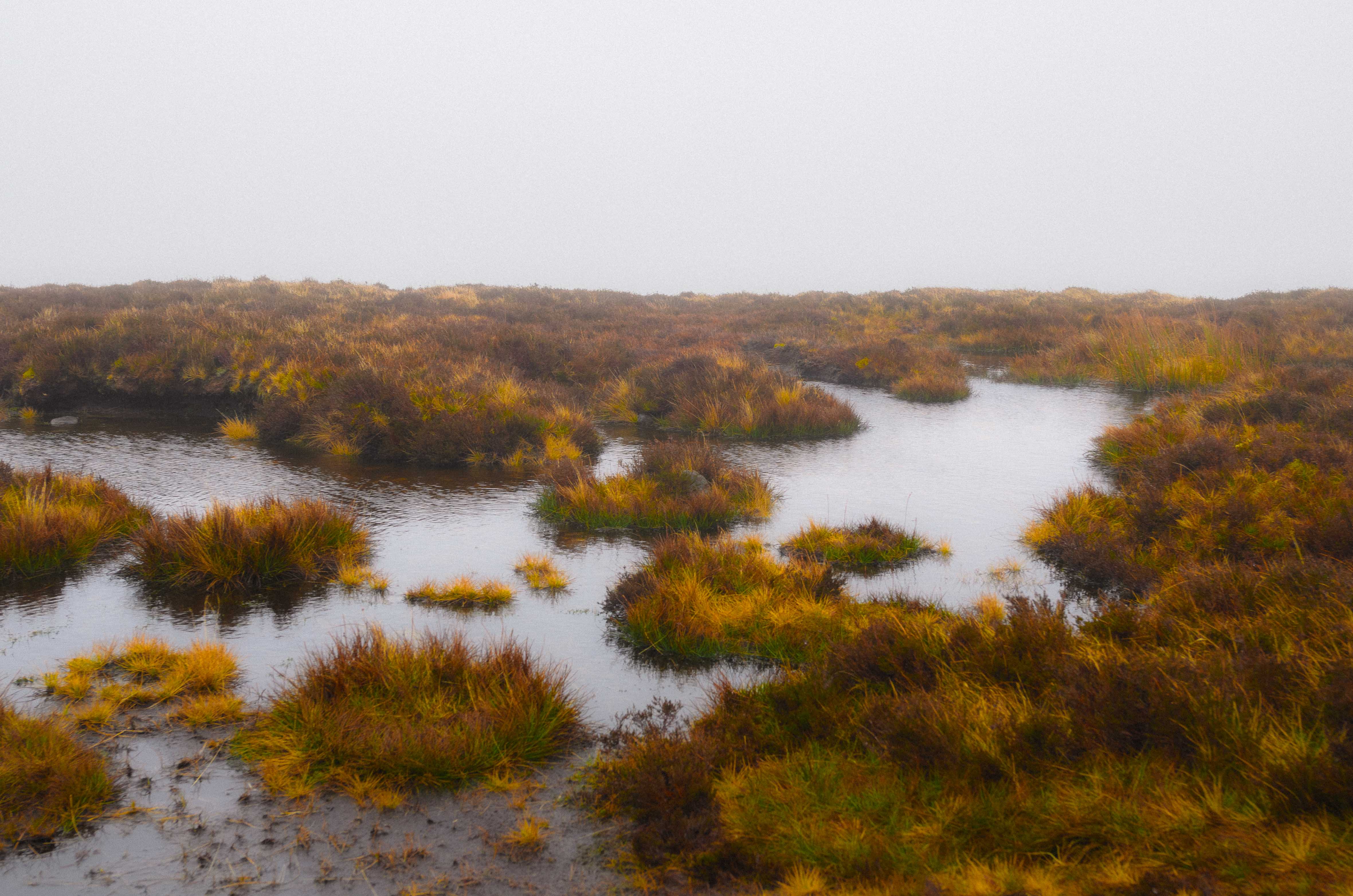 A pool of water at the top of a peak. By Connor Redmond.