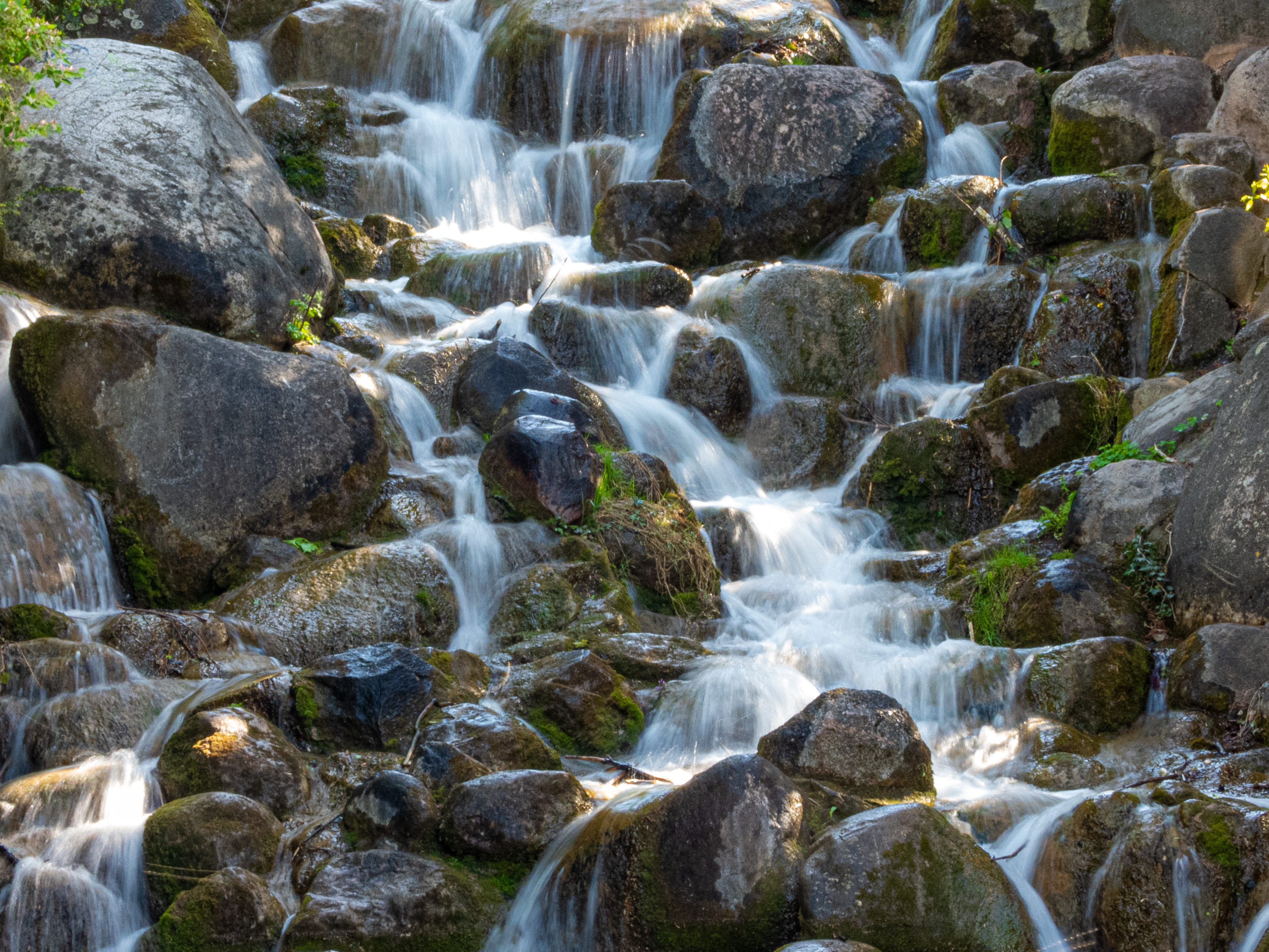 Agua que fluye entre rocas y vegetación en un entorno natural