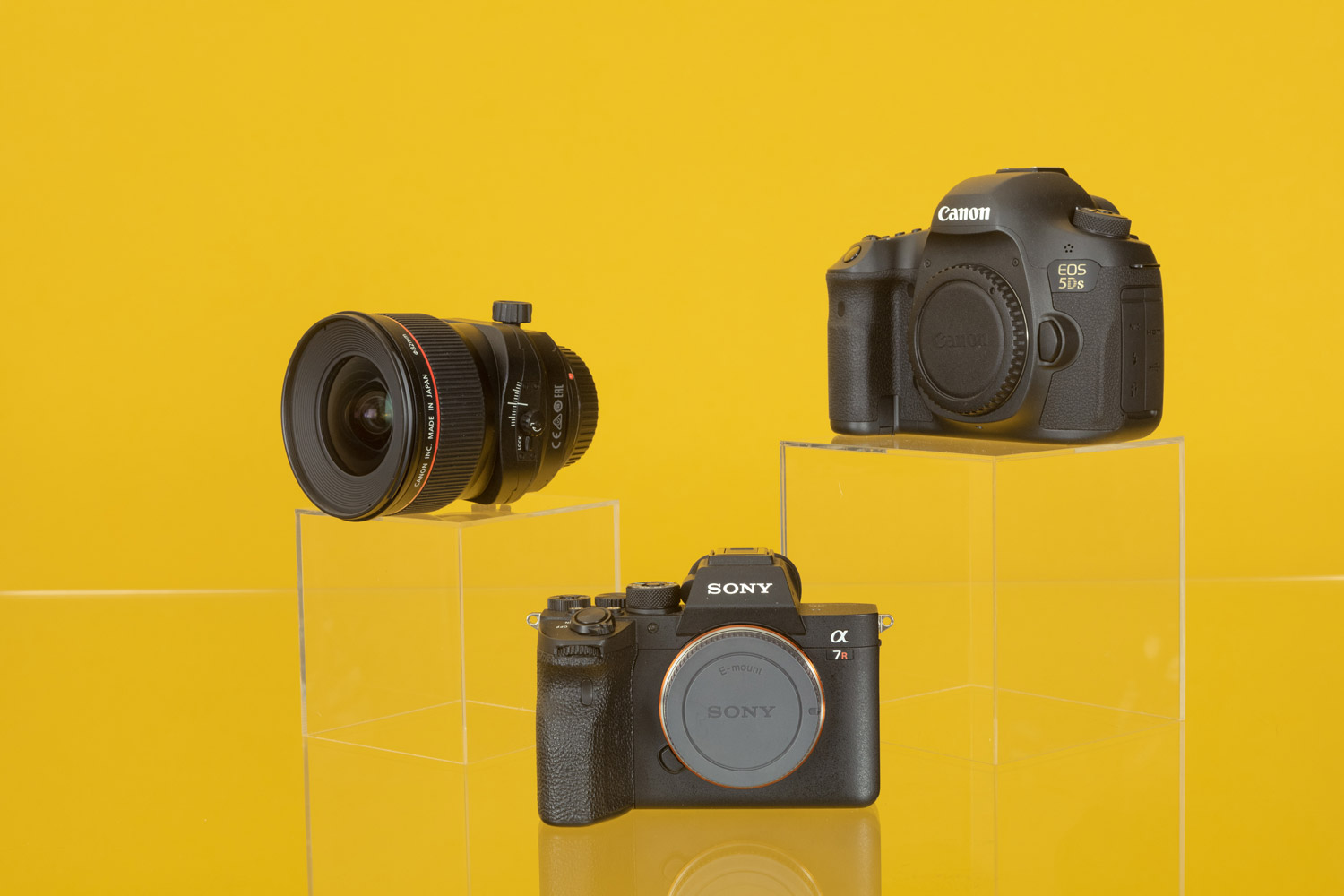 Sony-Alpha-A7R-IV-+-Canon-EOS-5DS-+-Canon-TS-E-24mm-f-3.5-L-II