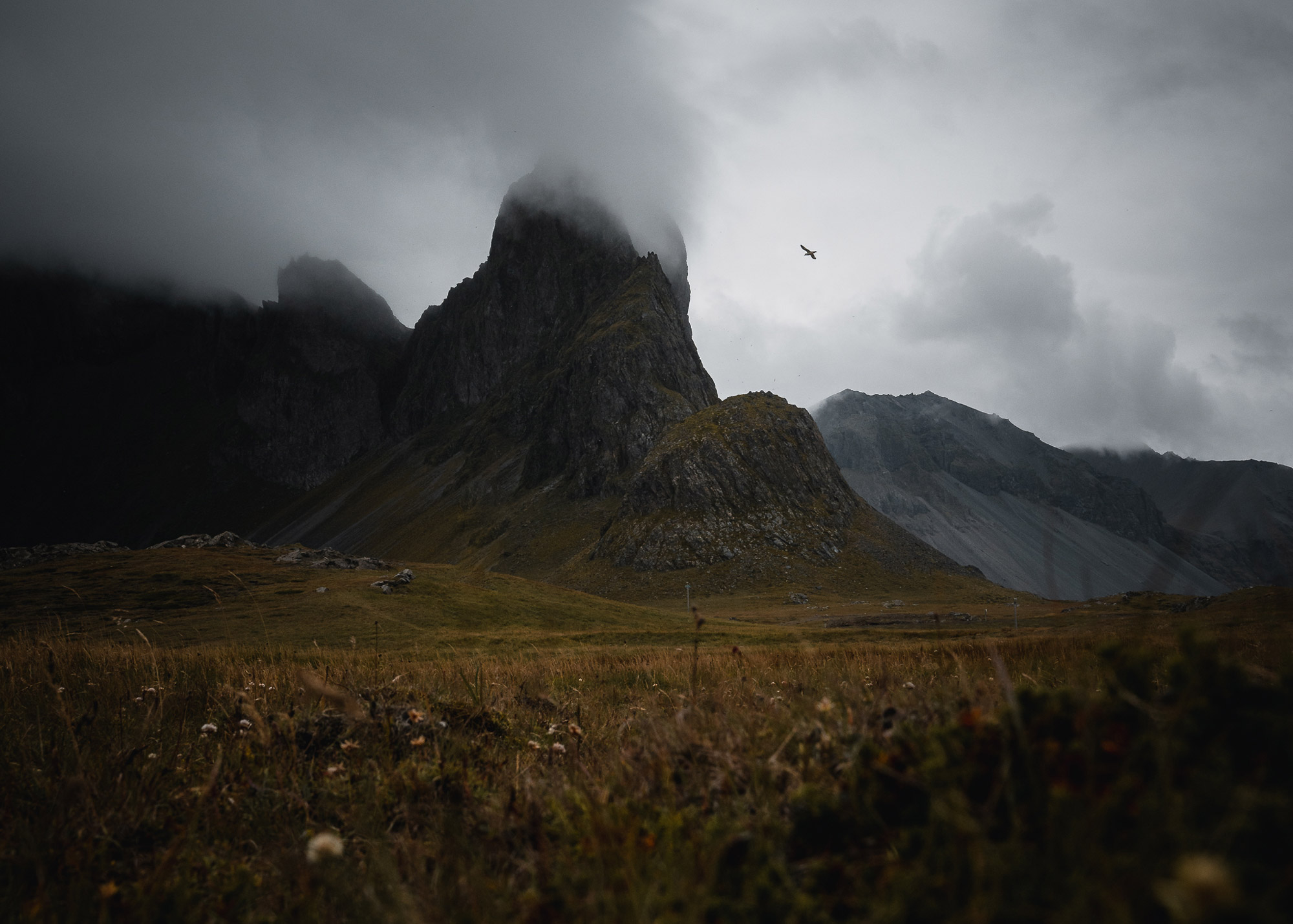 A mountain range in Iceland, with fields in the foreground and clouds hiding the peaks of the mountains in the background, shot by Paul Watson with a Nikon Z6