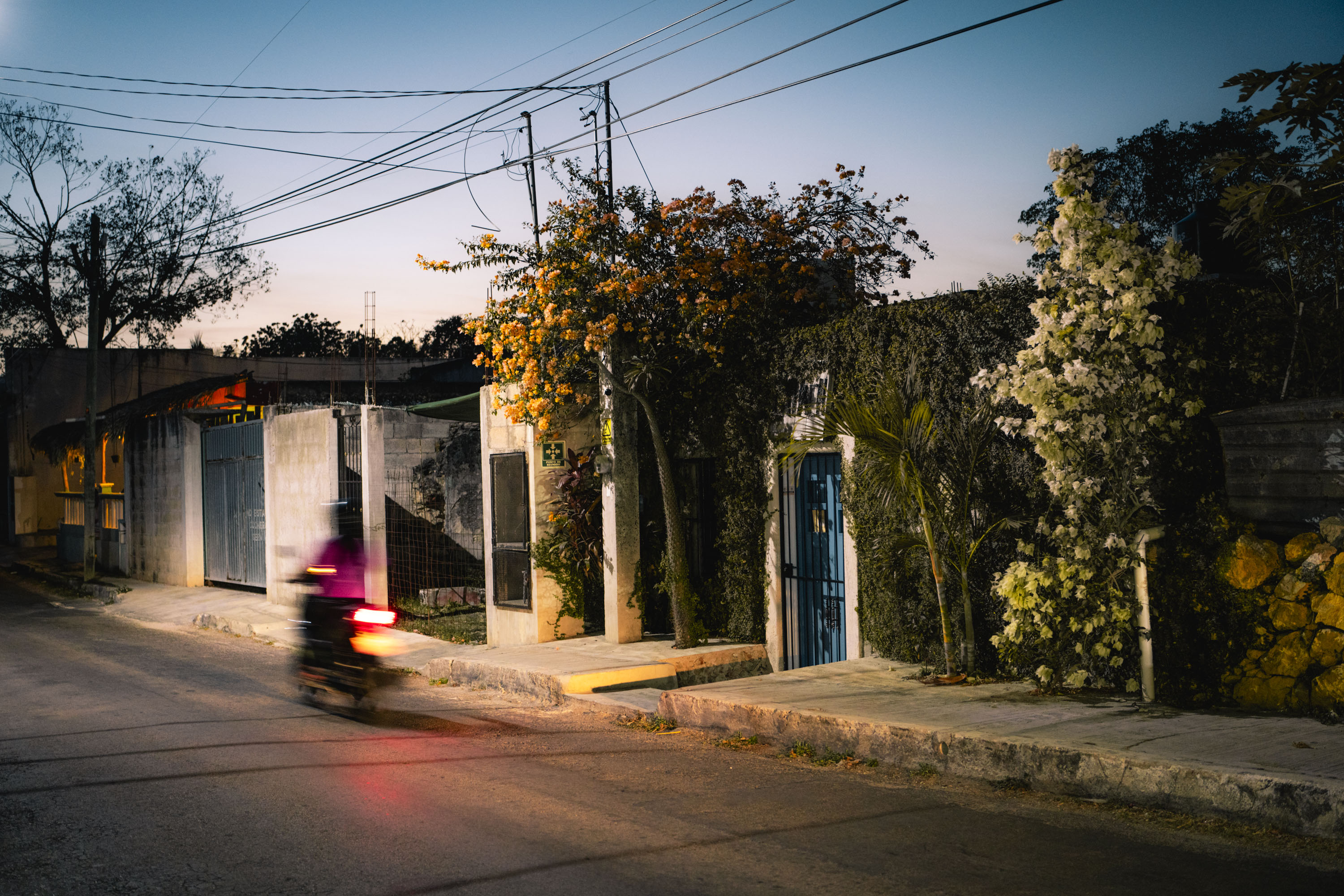 A street in Mexico with lots of colourful flora clinging to the walls of people's houses. By Ian Howorth.