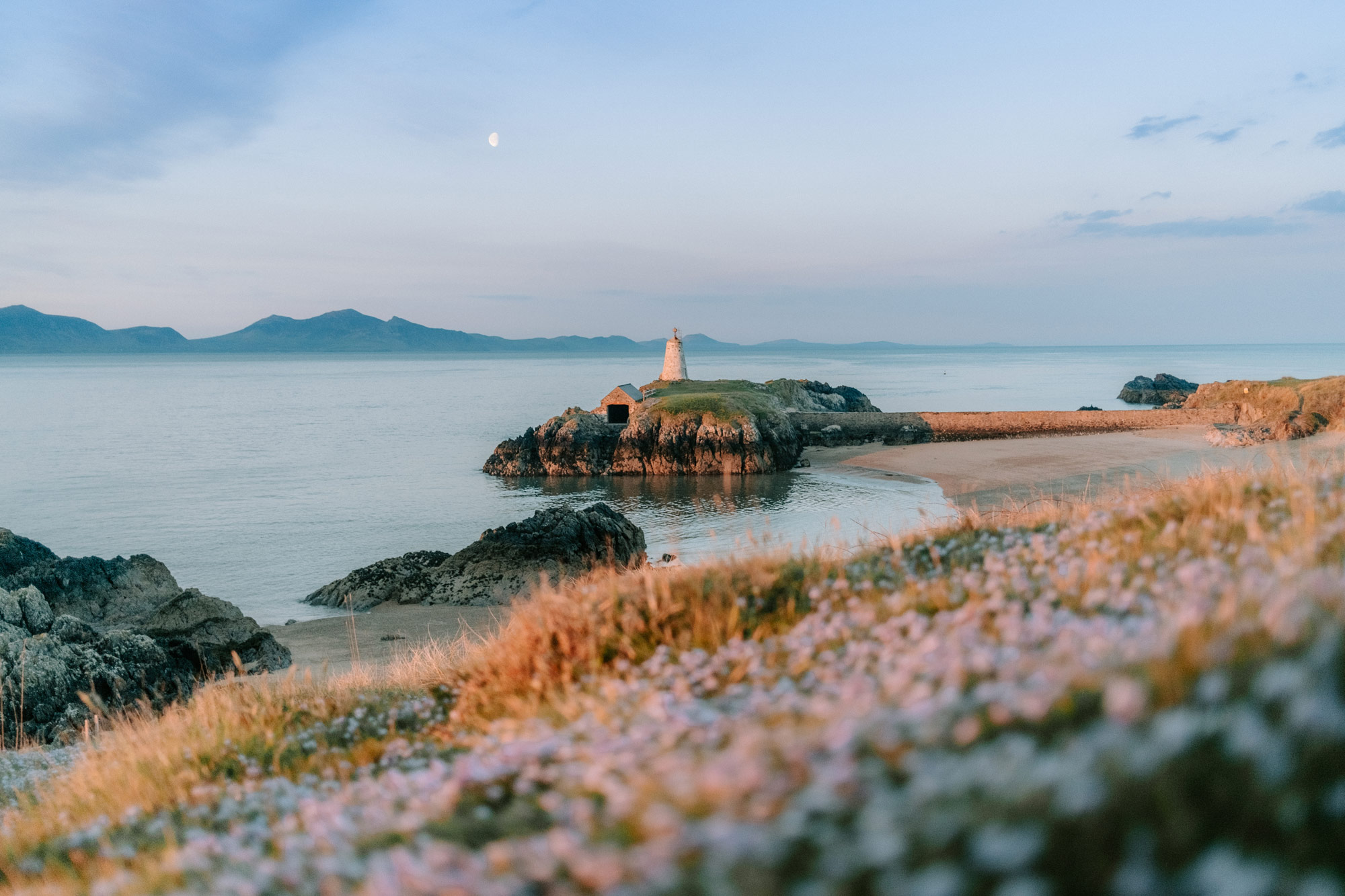 Phare sur la côte avec de l'herbe et des fleurs au premier plan à Newborough Beach dans le nord du Pays de Galles. Photo prise avec un Fujifilm X100V par James Popsys
