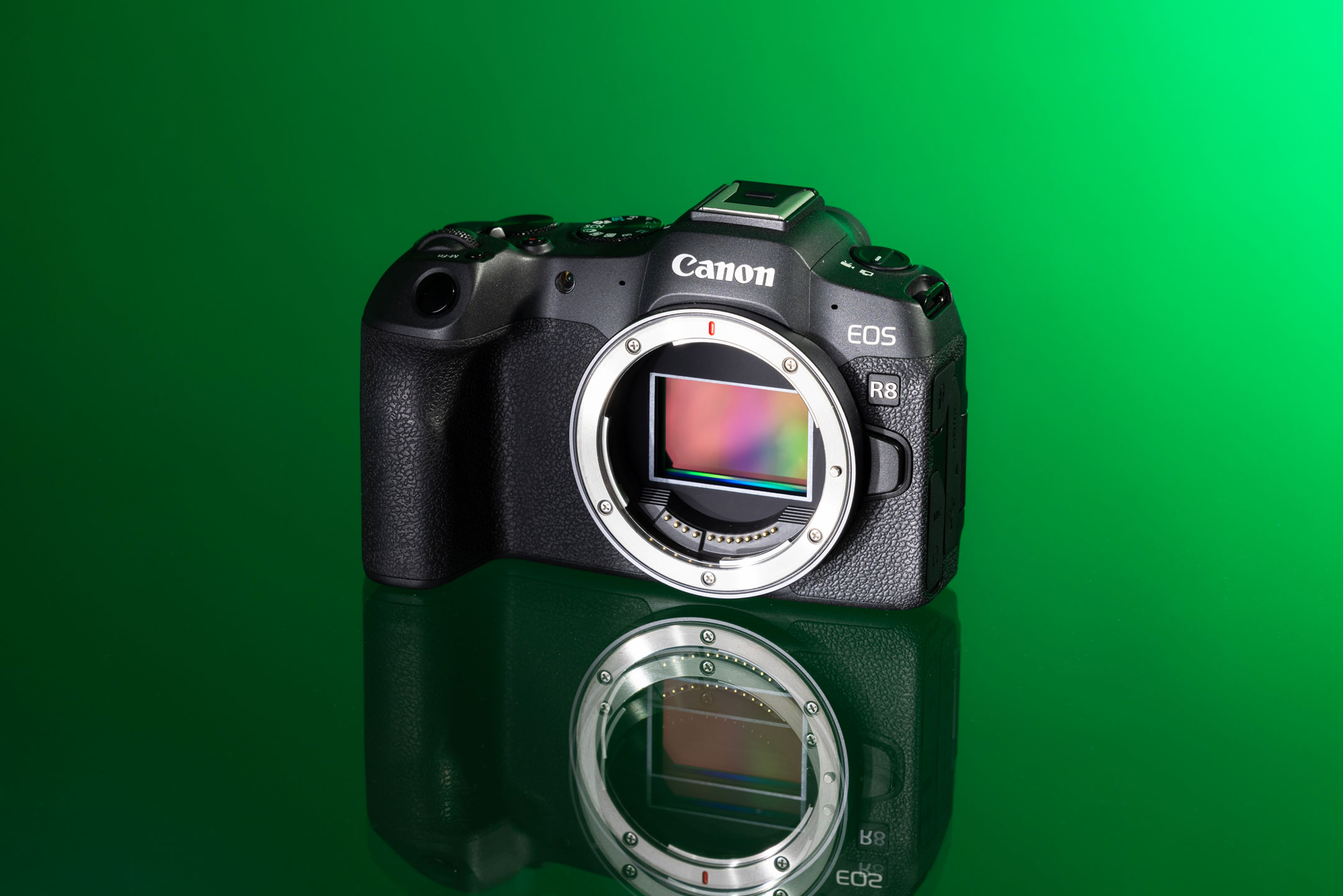 Used Canon EOS R8 from MPB on a green background