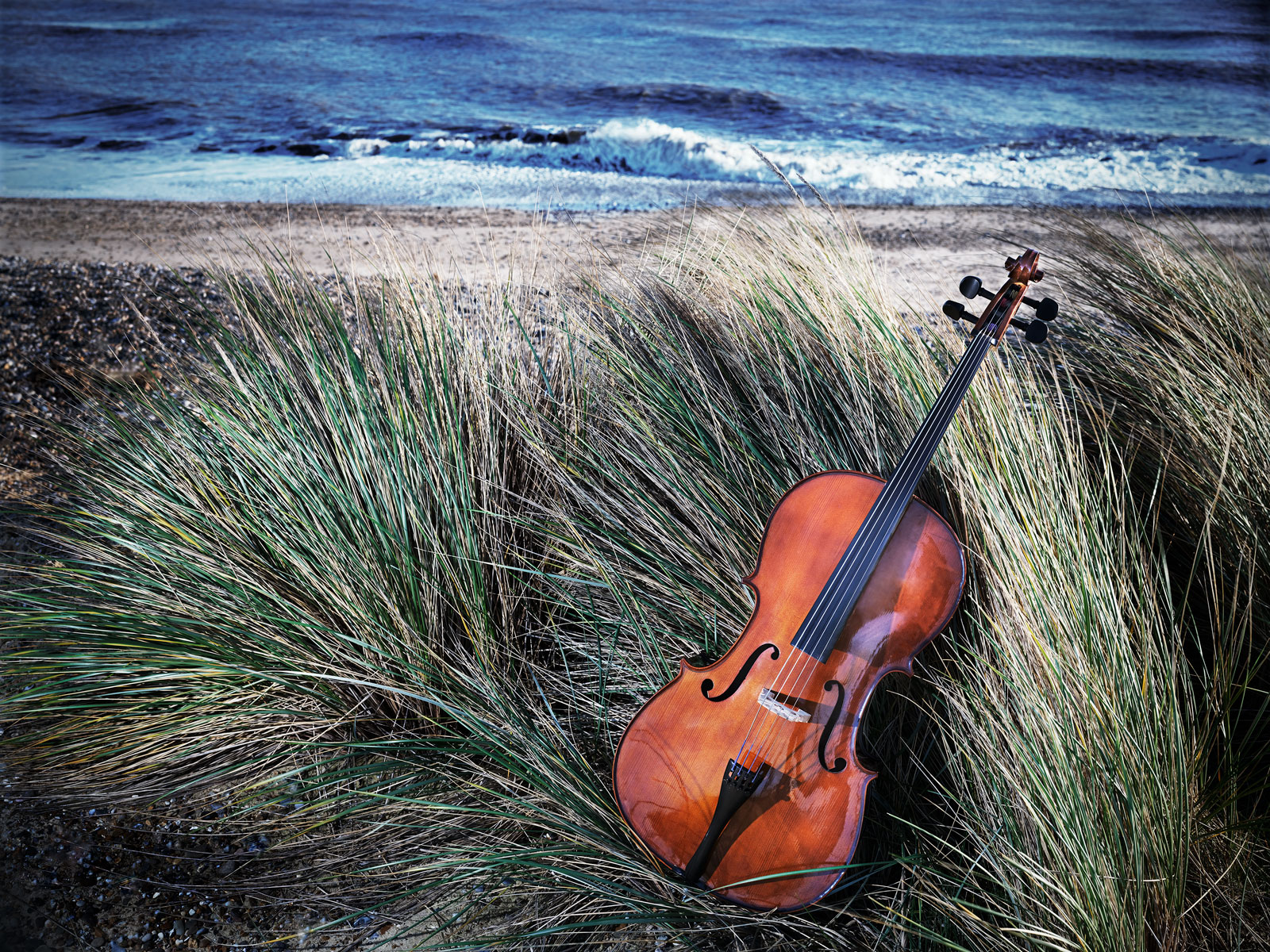 Een portret van een cello liggend op riet op een strand met de zee op de achtergrond, foto door Del Francis met de Fujifilm GFX 100S