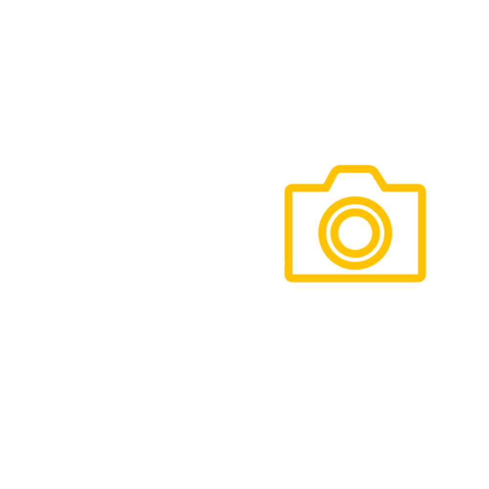 Trade upgrade icon, bird with camera, 1x1 centred