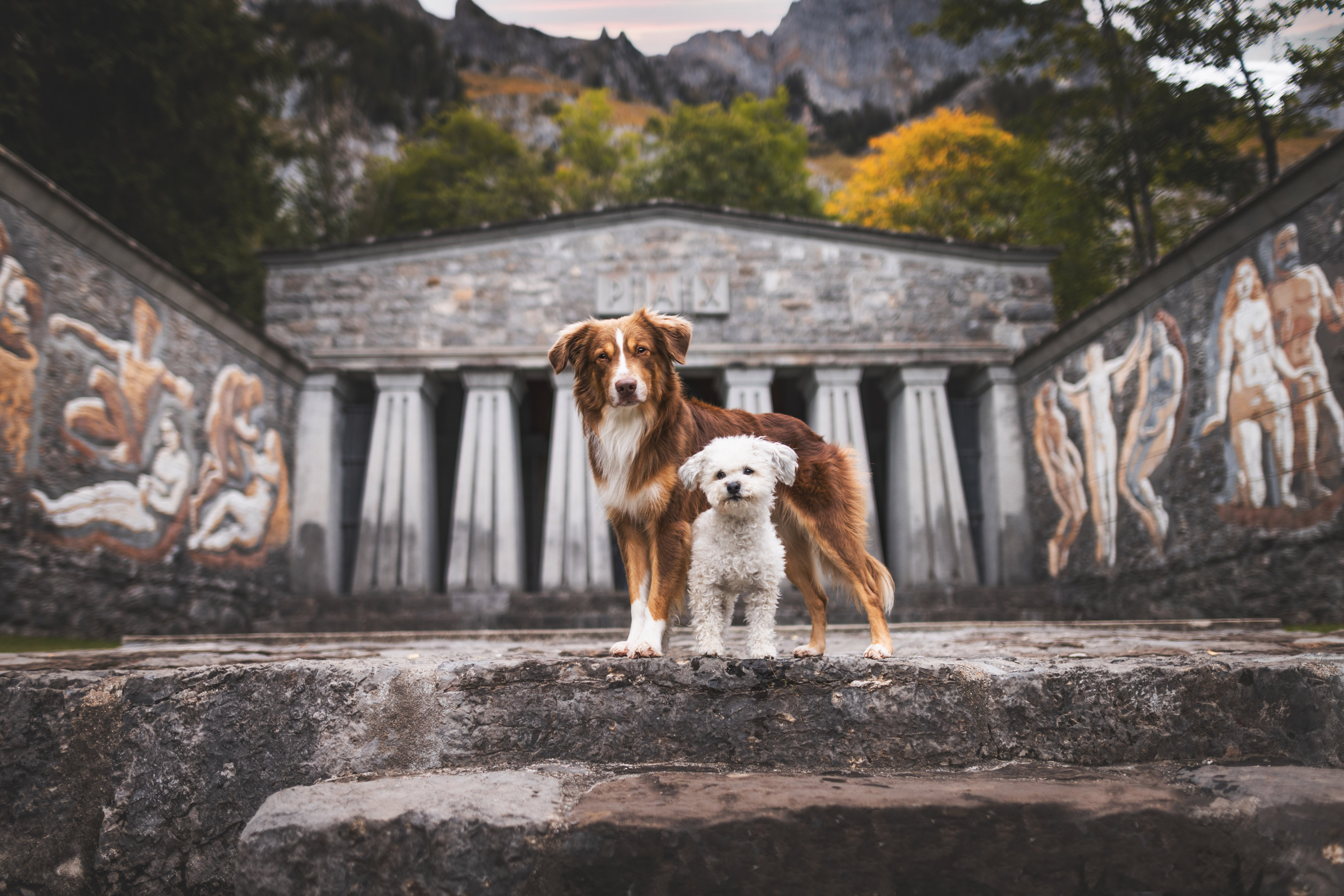A medium-sized dog with brown and white fur and a small dog with white fur standing in front of a building with columns, by Lea Heidt

