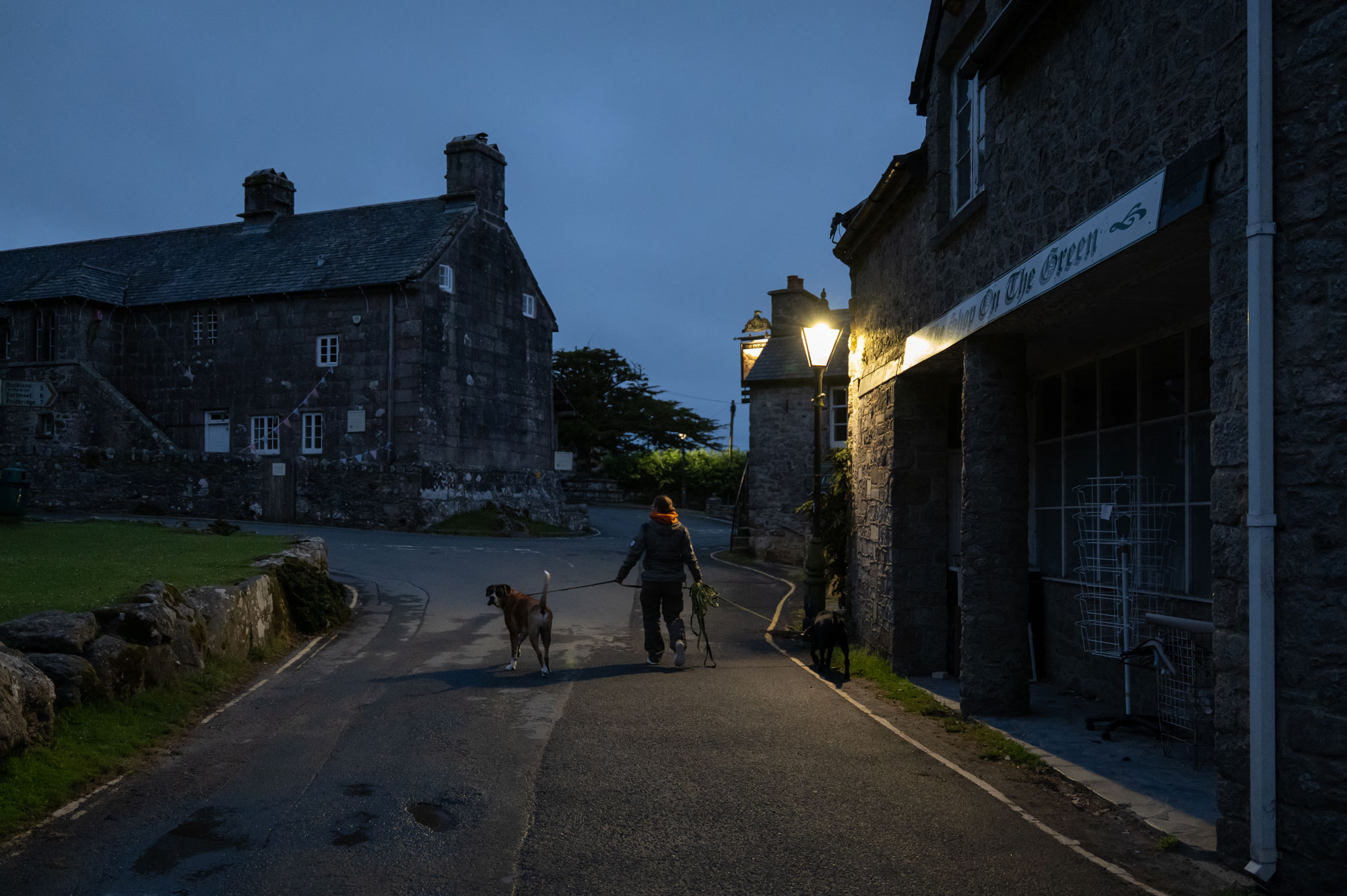 A person walks their dog in a village at night, lit only by a street lamp. The dog is looking back over its shoulder at the camera.
