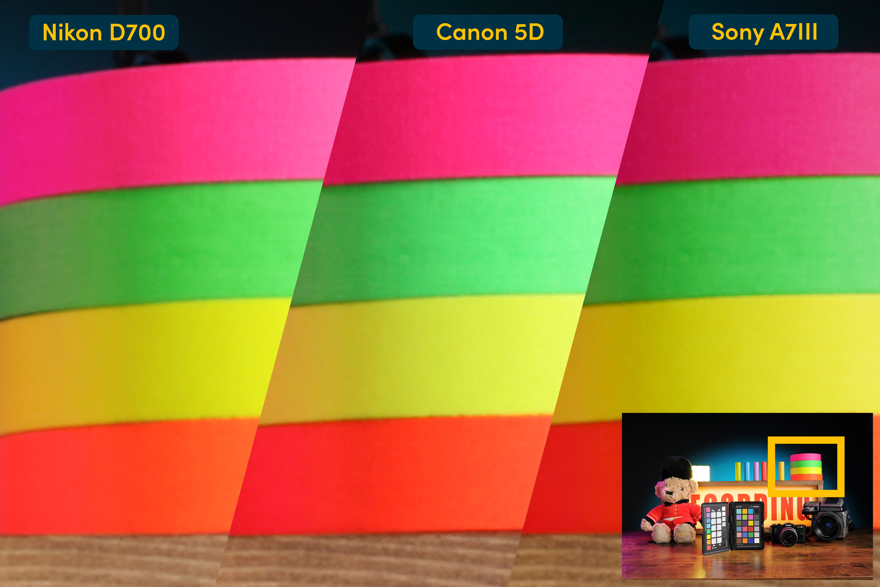 A composite image comparing the colour rendition from the Nikon D700, Canon 5D and Sony A7 III.