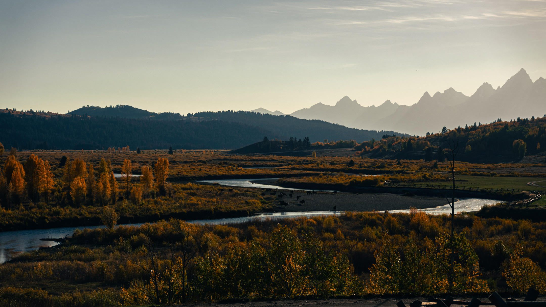 A scenic sunset shot from Yellowstone featuring trees, mountains and water