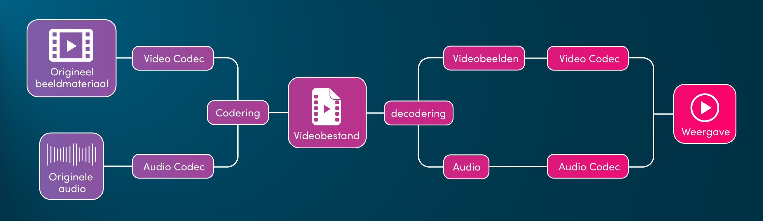 Eenvoudige infographic die de indeling van een videobestand toont, inclusief video/audiocodecs.