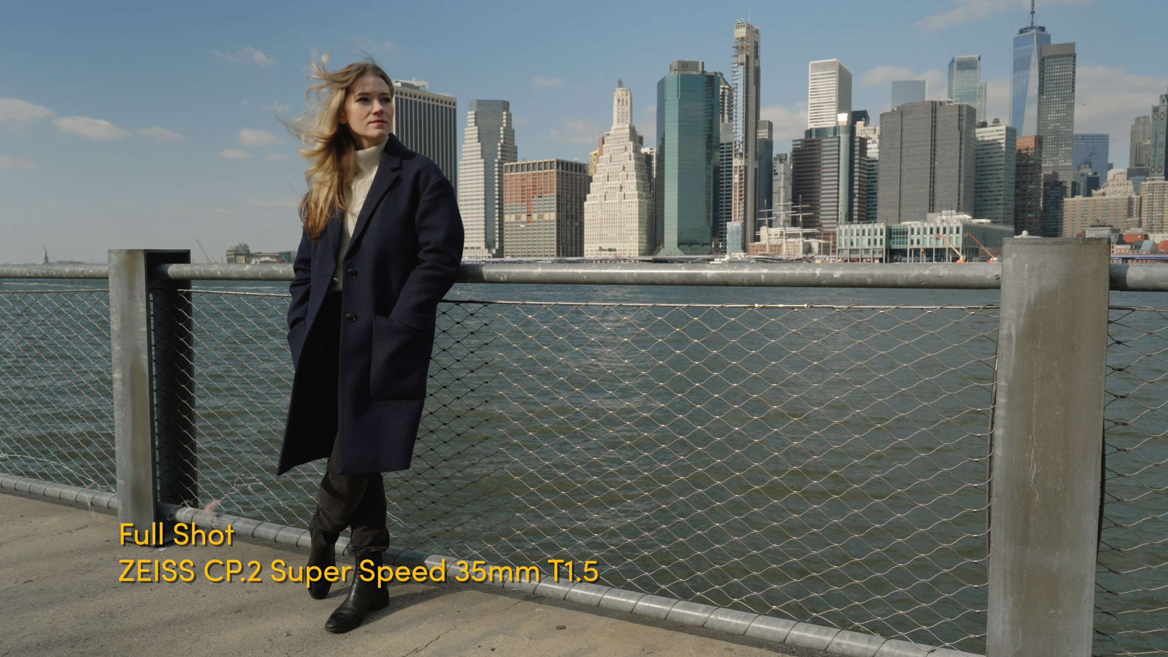 Voorbeeld volledige opname van persoon leunend tegen reling voor skyline NYC