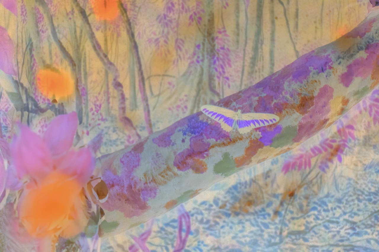 A colourful images of a butterfly on a log, surrounded by plants and flowers, called Butterfly, created by artist Claudia Fuggetti