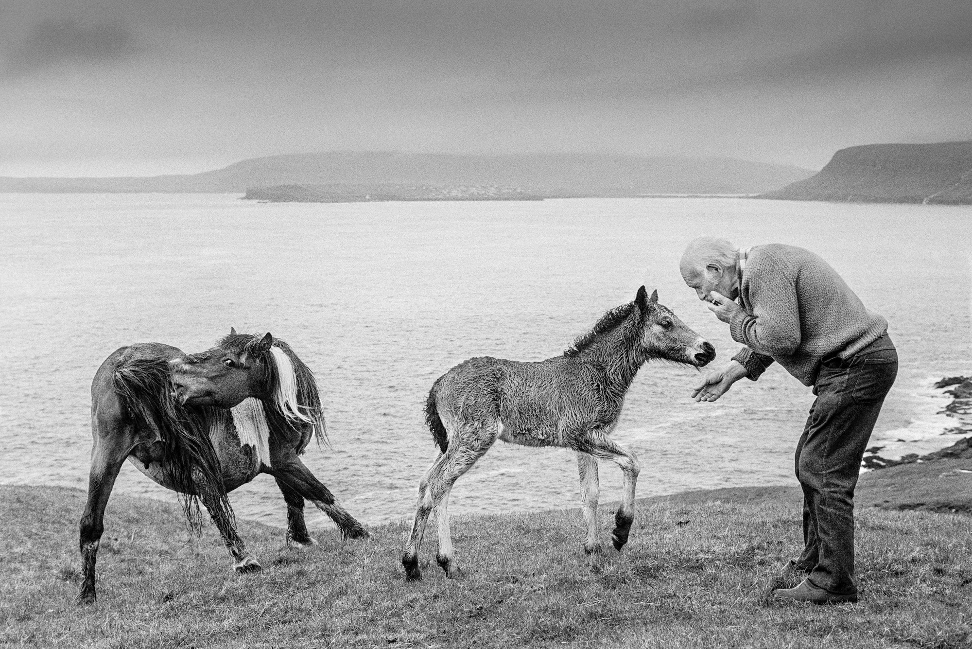 Black and white shot of two young horses and a person bending down to a horse, standing at the front of the picture on the bank of a large body of water that stretches across the rest of the picture, mountains in the background. Photo taken by Ragnar Axelsson