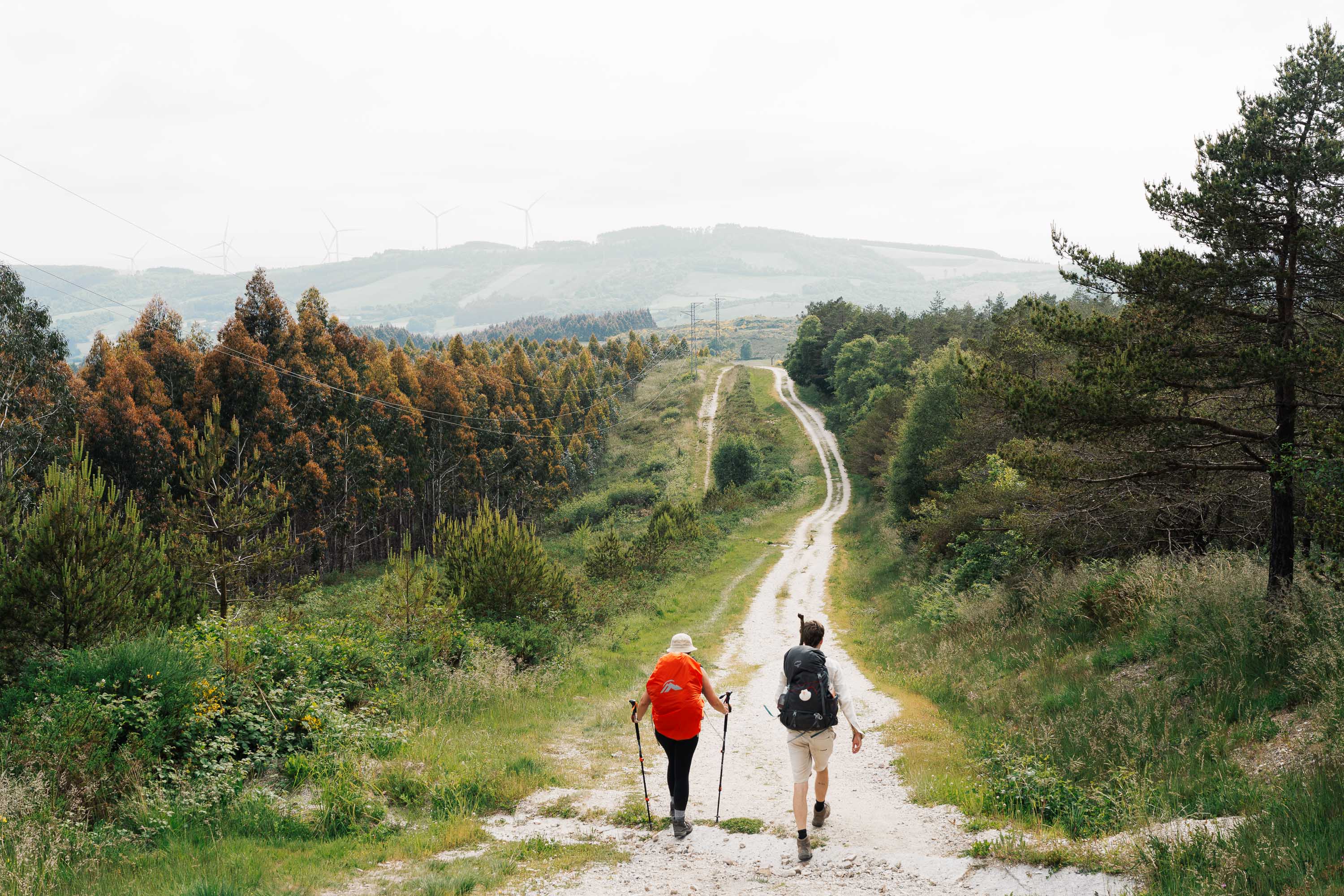 Two people walking down a long path in a wooded, hilly landscape. Taken by Connor Redmond on the Sony A7C II. 