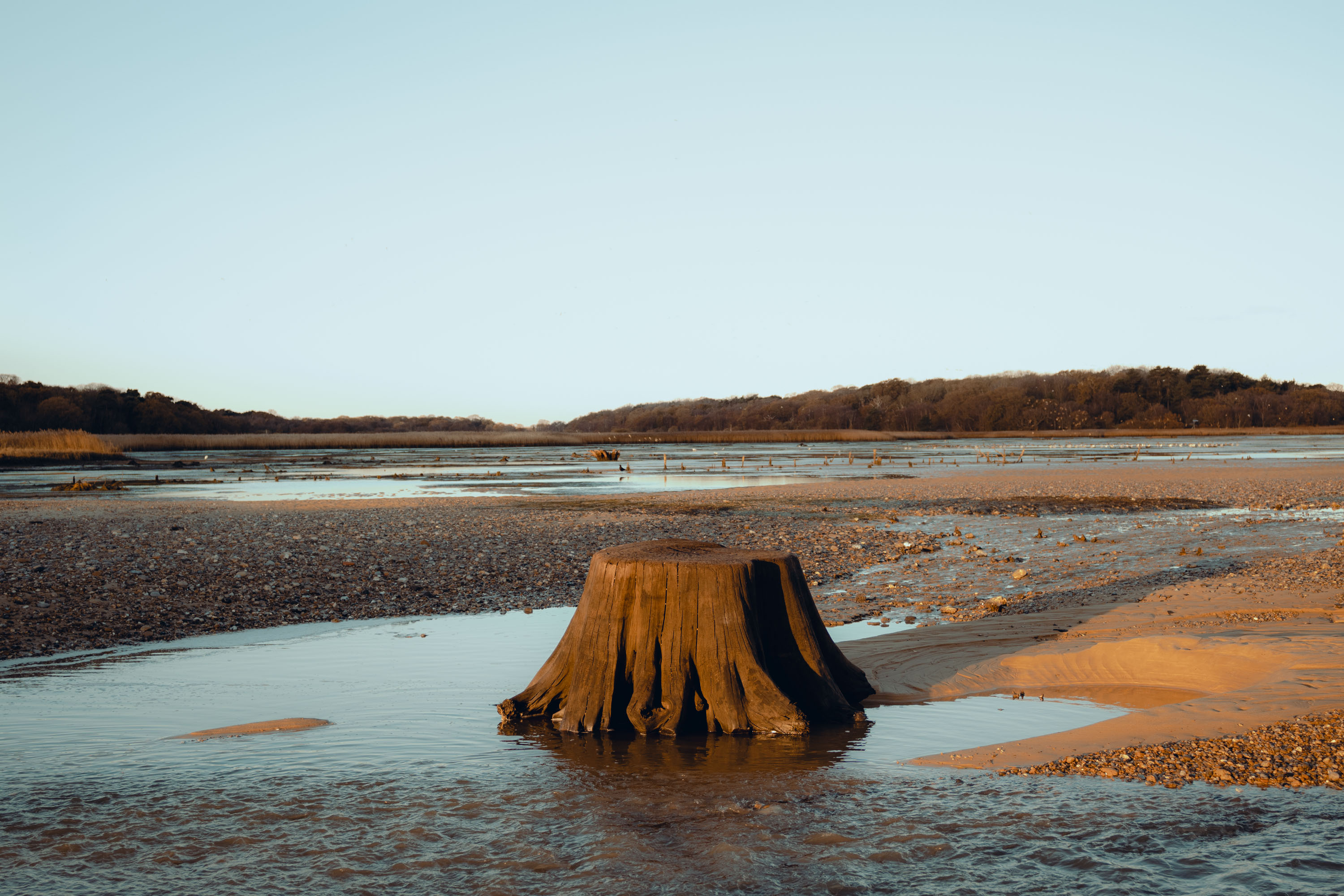 A lone tree stump on a large flat beach in Norfolk. By Ian Howorth.
