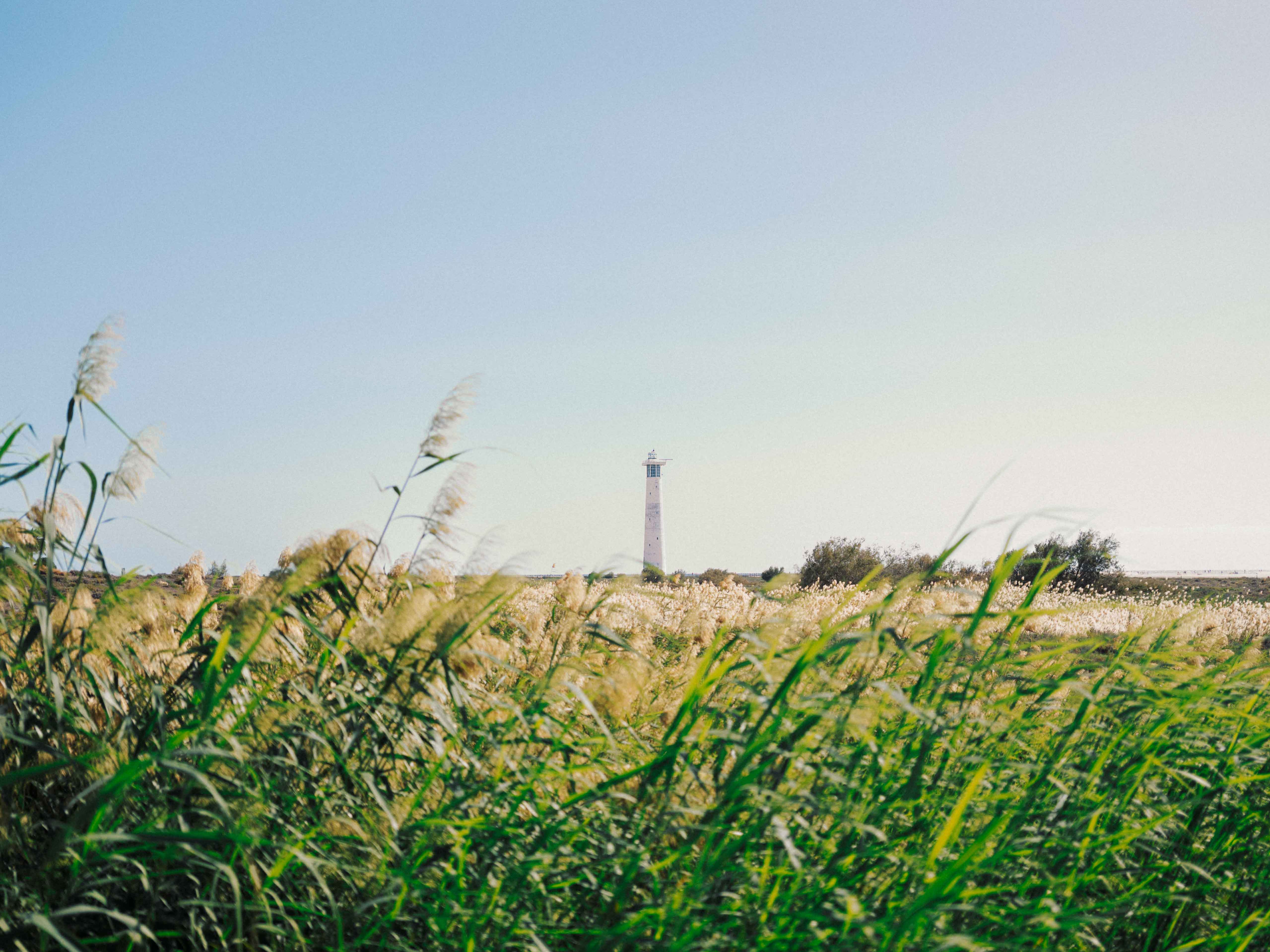
A small lighthouse in a field of tall grass in very bright conditions. Taken on the Fujifilm GFX 50R by Connor Redmond. 

