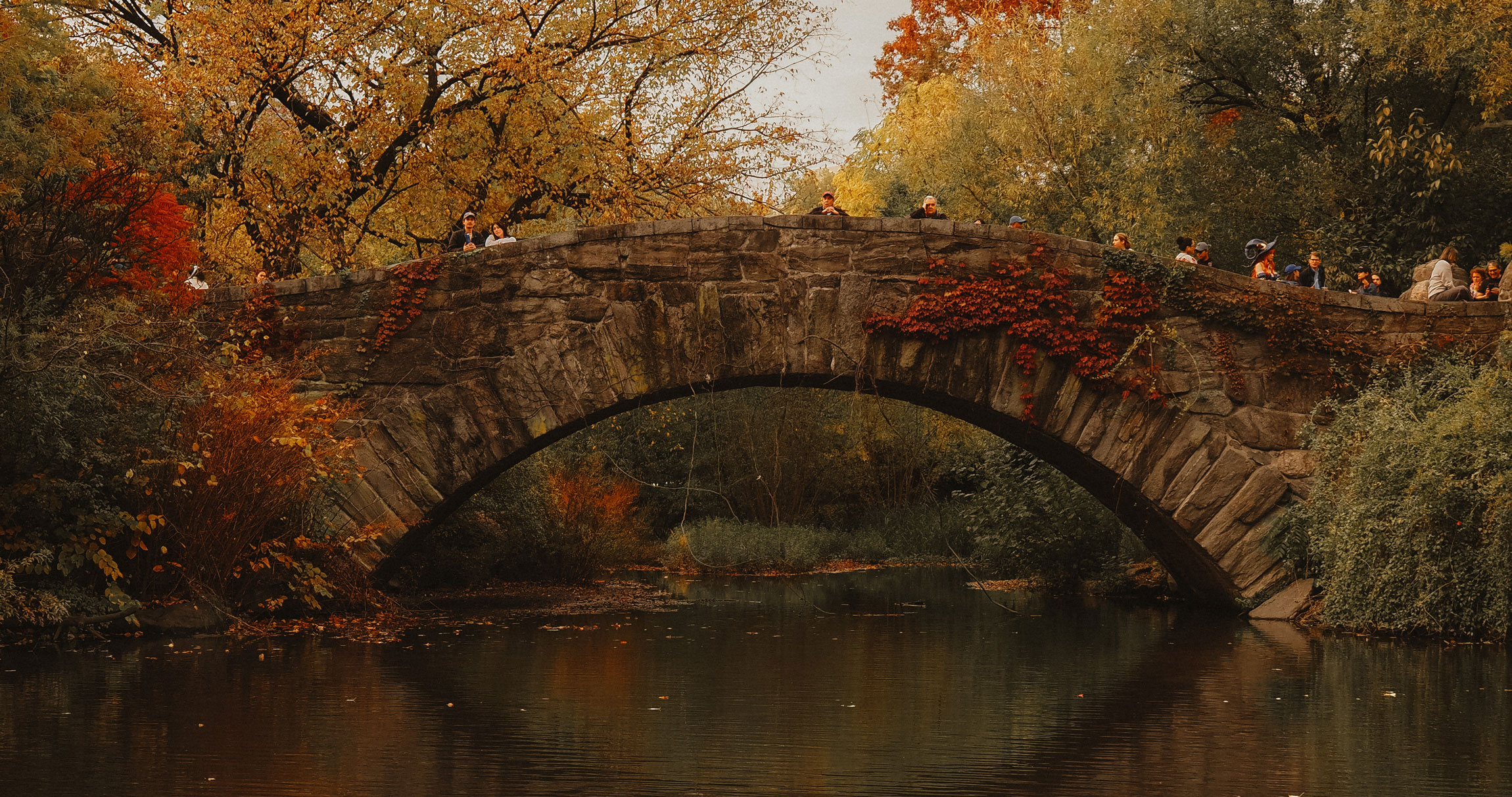 Een bijgesneden foto van mensen die staan en lopen over een brug over een meer in Central Park, met bomen op de achtergrond, in beeld gebracht met Olympus E-M5 III door Georgina Lamrock.