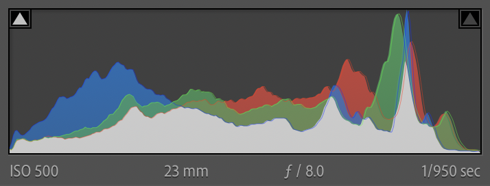 Example screenshot of the histogram in Lightroom Classic
