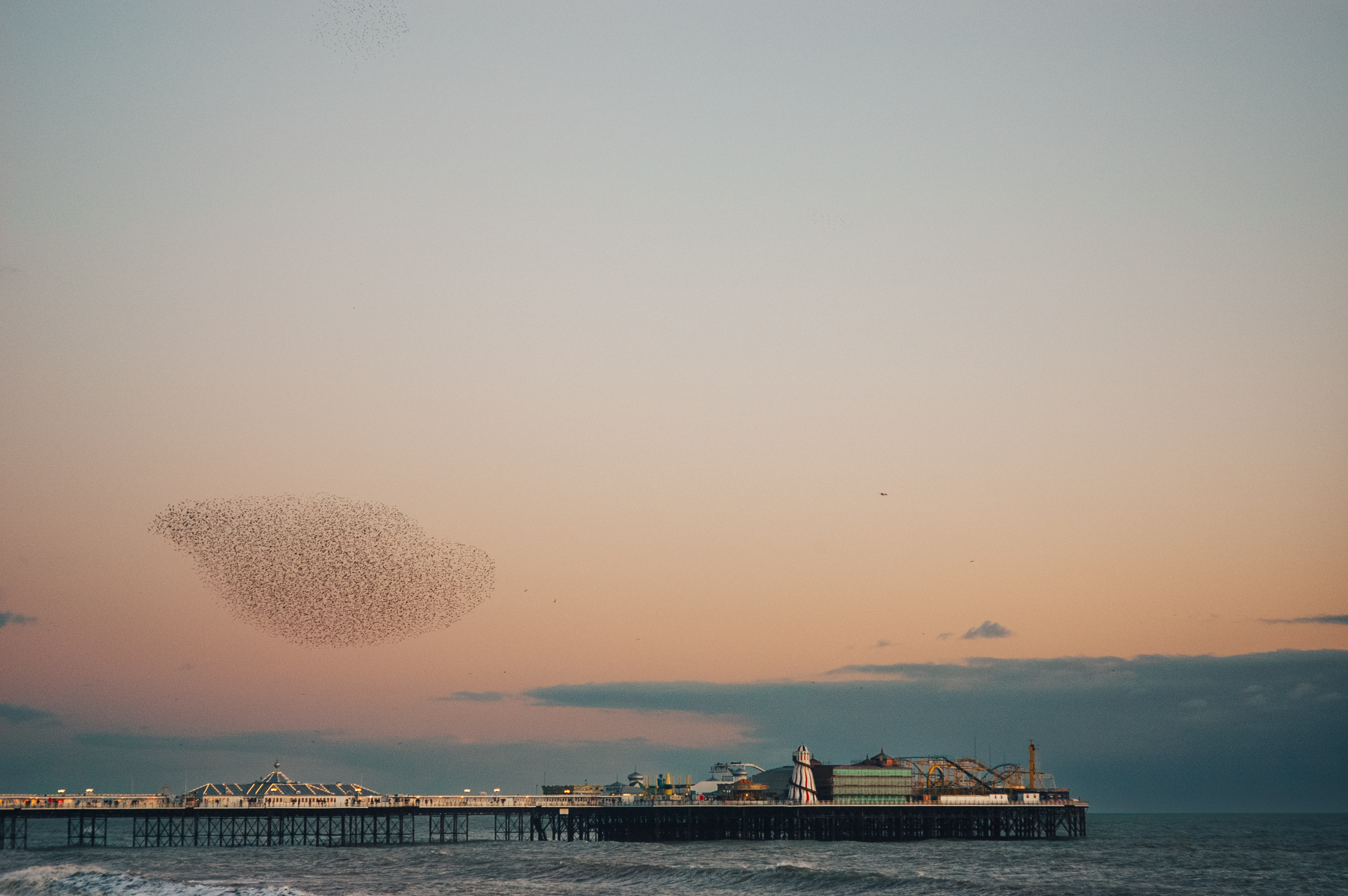 Bird murmuration over Brighton pier at sunset. By Ian Howorth.