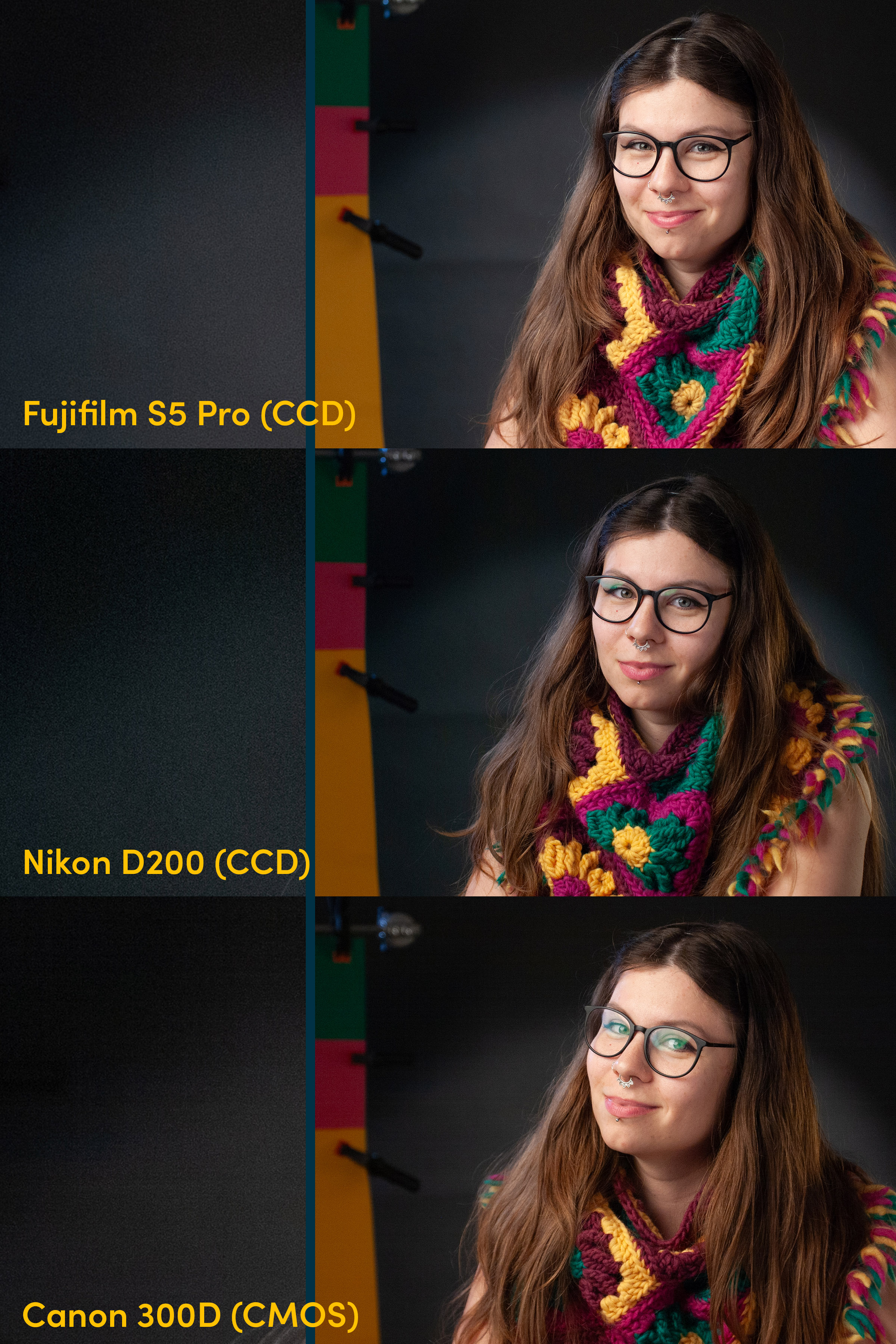 Eine Zusammenstellung von drei Beispielbildern, aufgenommen mit der Fujifilm S5 Pro, der Nikon D200 und der Canon 300D

